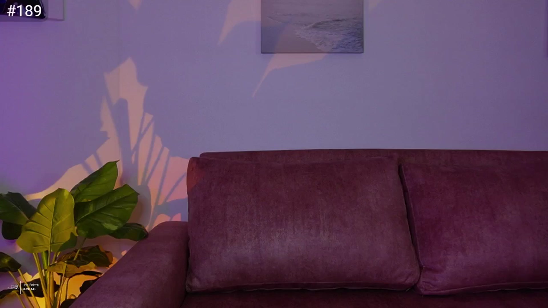 Gallery image thumbnail from AlexaBlancOh's myfreecams stream on, 03/22/2025, 08:11 image 19 of 20