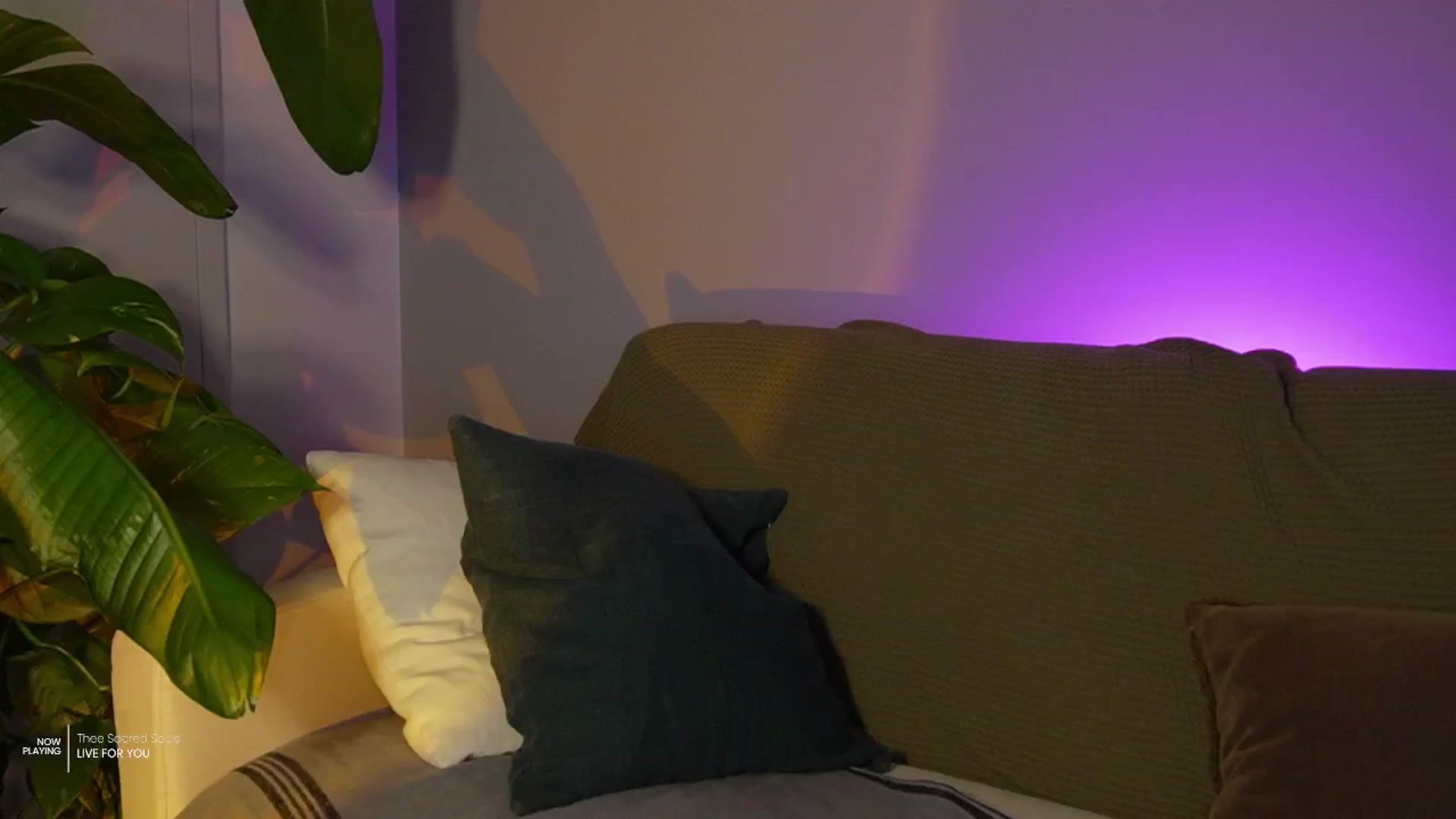 Gallery image thumbnail from AlexaBlancOh's myfreecams stream on, 04/10/2025, 07:09 image 16 of 20