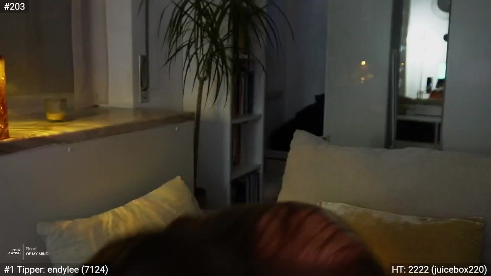 Gallery image thumbnail from AlexaBlancOh's myfreecams stream on, 07/29/2025, 06:44 image 17 of 20