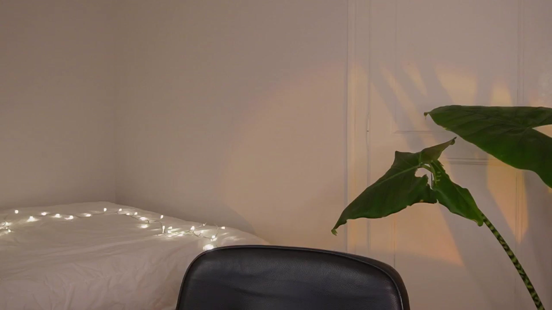 Gallery image thumbnail from AlexaBlancOh's myfreecams stream on, 12/02/2025, 08:19 image 2 of 20