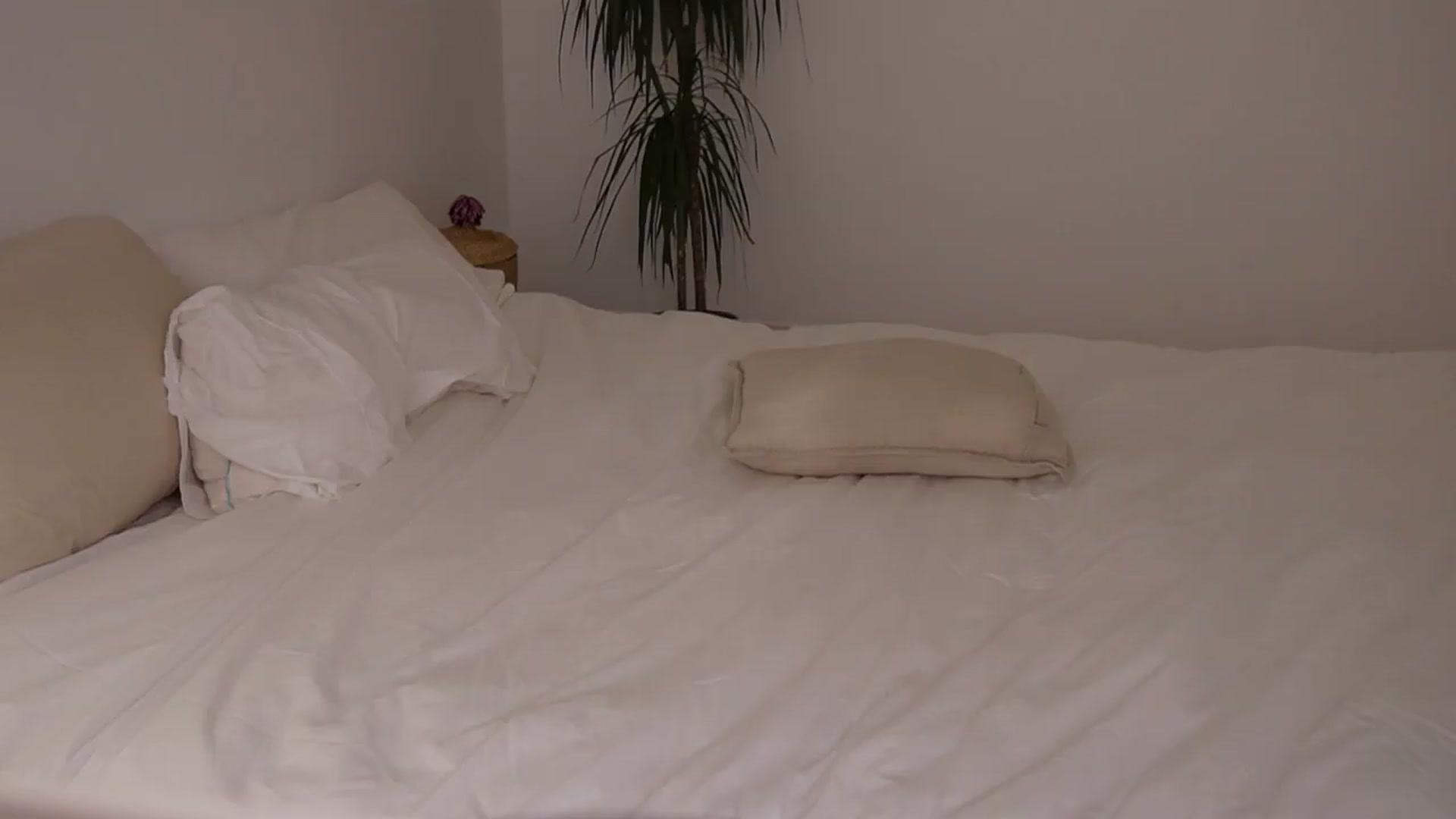 Gallery image thumbnail from AlexaBlancOh's myfreecams stream on, 08/01/2026, 06:25 image 9 of 20