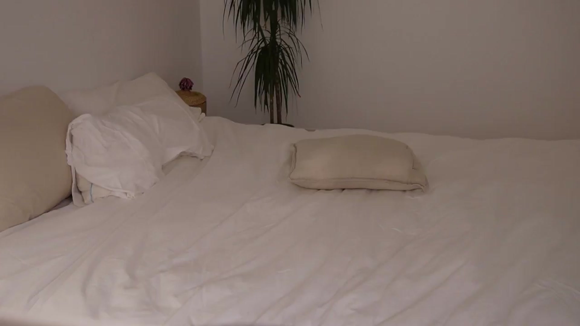Gallery image thumbnail from AlexaBlancOh's myfreecams stream on, 08/01/2026, 06:25 image 4 of 20