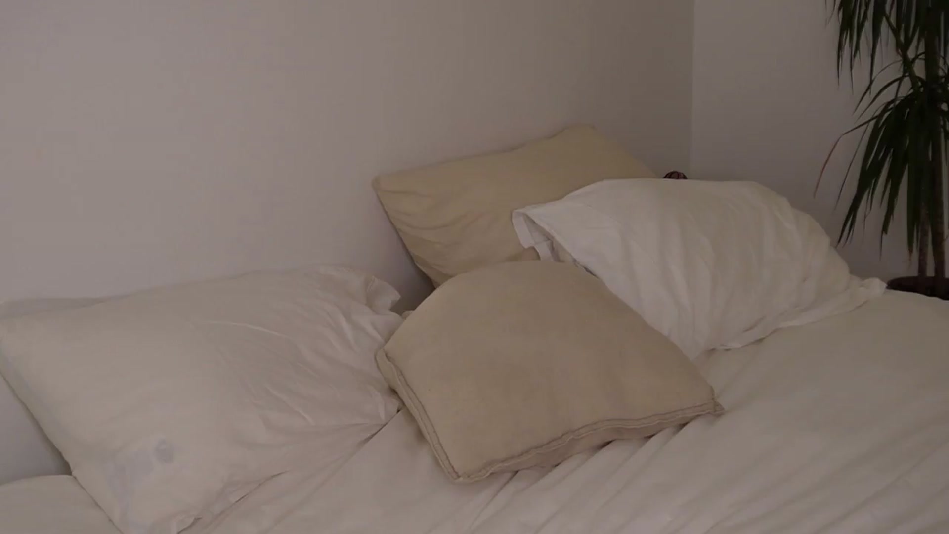 Gallery image thumbnail from AlexaBlancOh's myfreecams stream on, 08/07/2026, 06:29 image 13 of 20