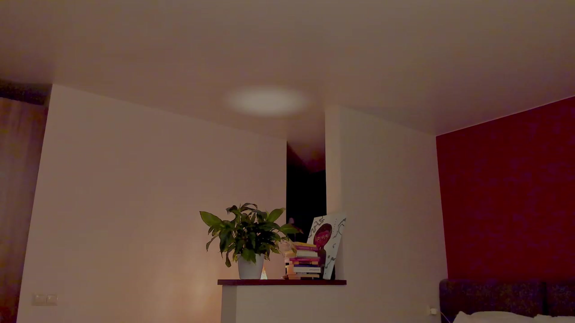 Gallery image thumbnail from AlexaGirl1's myfreecams stream on, 10/18/2023, 17:04 image 15 of 20