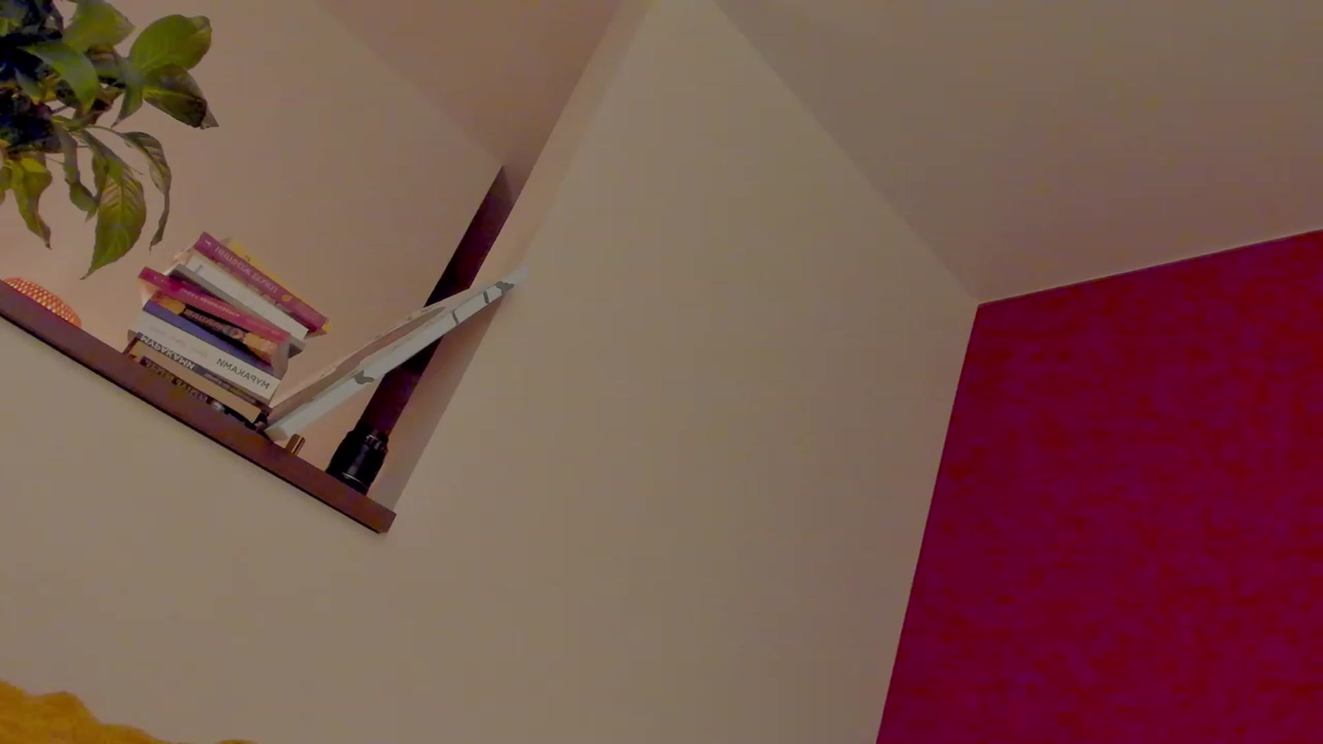 Gallery image thumbnail from AlexaGirl1's myfreecams stream on, 10/26/2023, 17:19 image 16 of 20