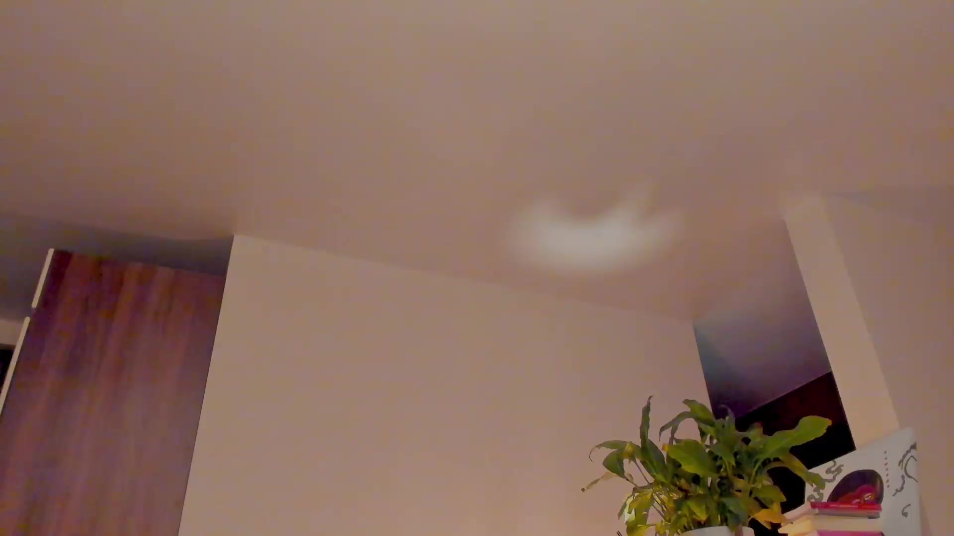 Gallery image thumbnail from AlexaGirl1's myfreecams stream on, 02/03/2024, 17:37 image 12 of 20