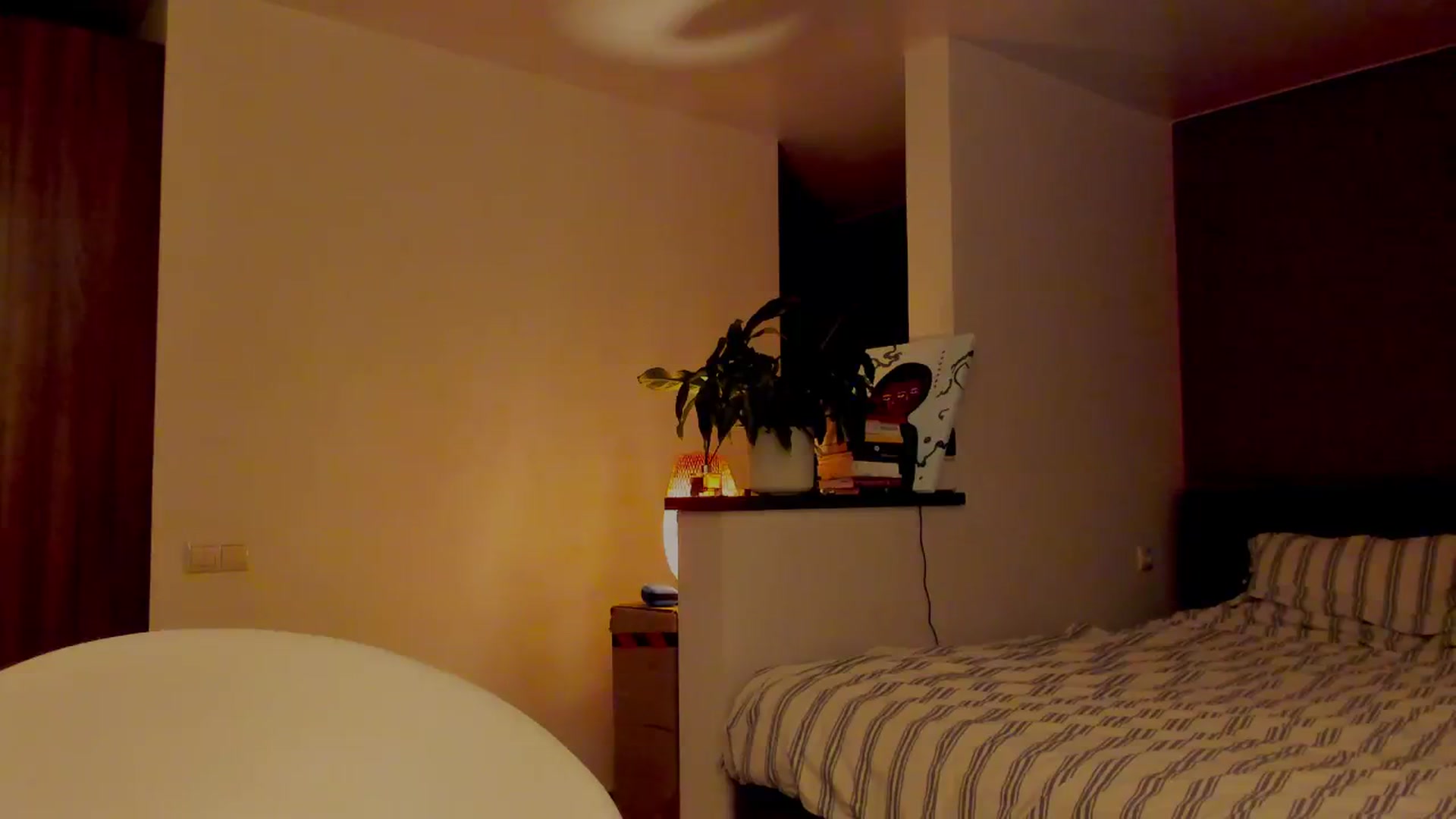 Gallery image thumbnail from AlexaGirl1's myfreecams stream on, 05/13/2024, 17:25 image 19 of 20