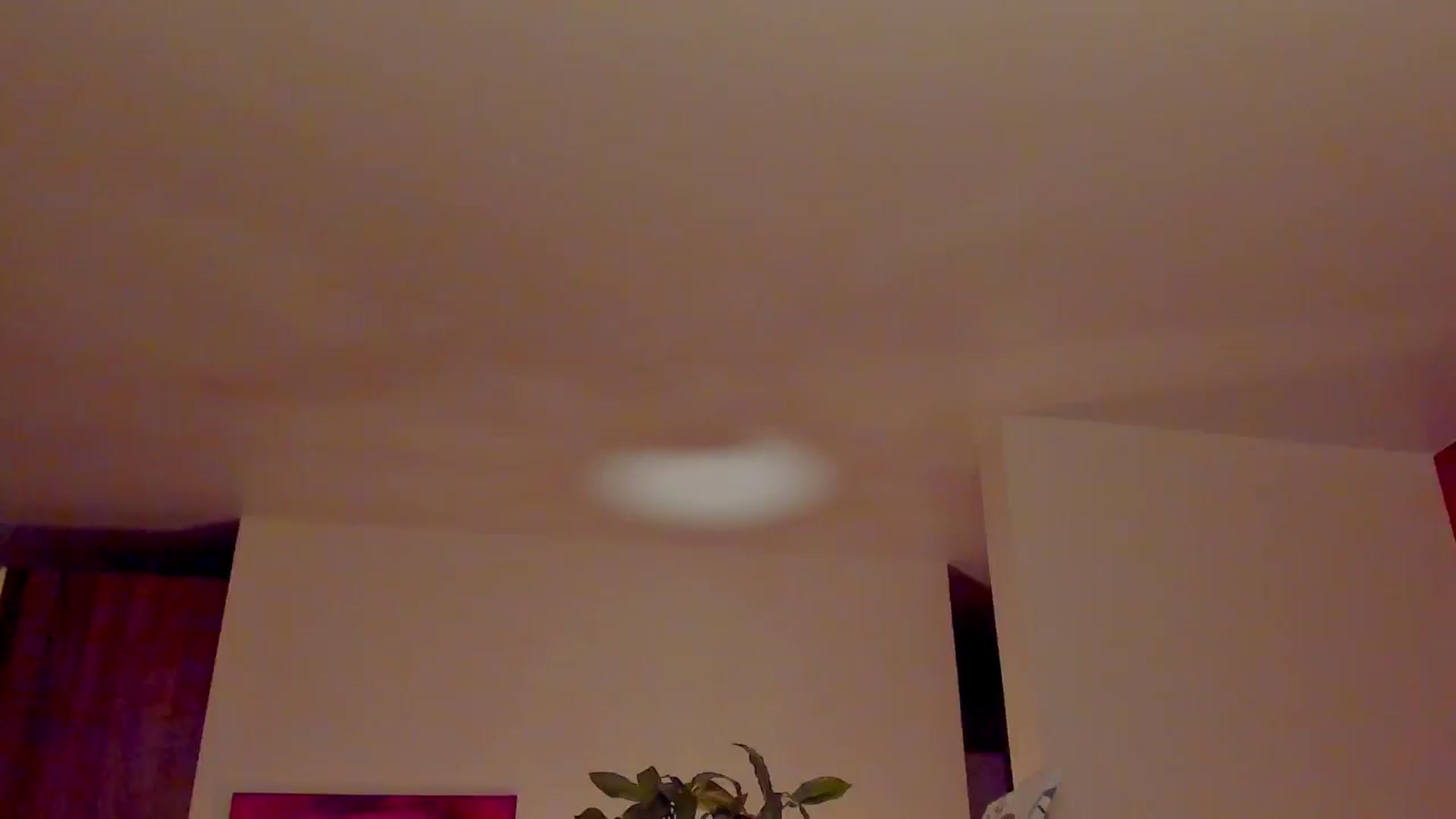 Gallery image thumbnail from AlexaGirl1's myfreecams stream on, 12/01/2024, 18:17 image 4 of 20