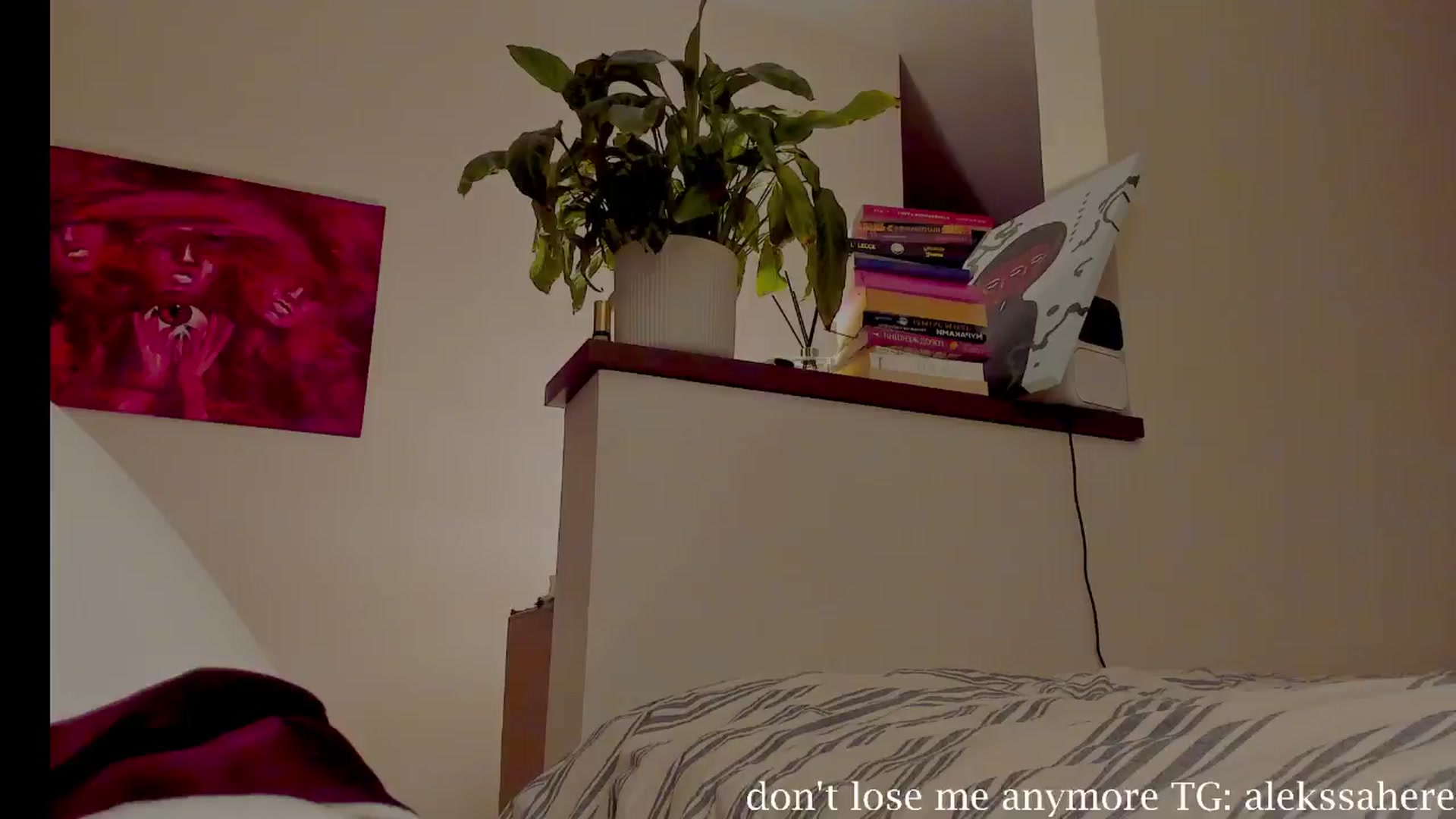 Gallery image thumbnail from AlexaGirl1's myfreecams stream on, 02/26/2025, 17:42 image 11 of 20