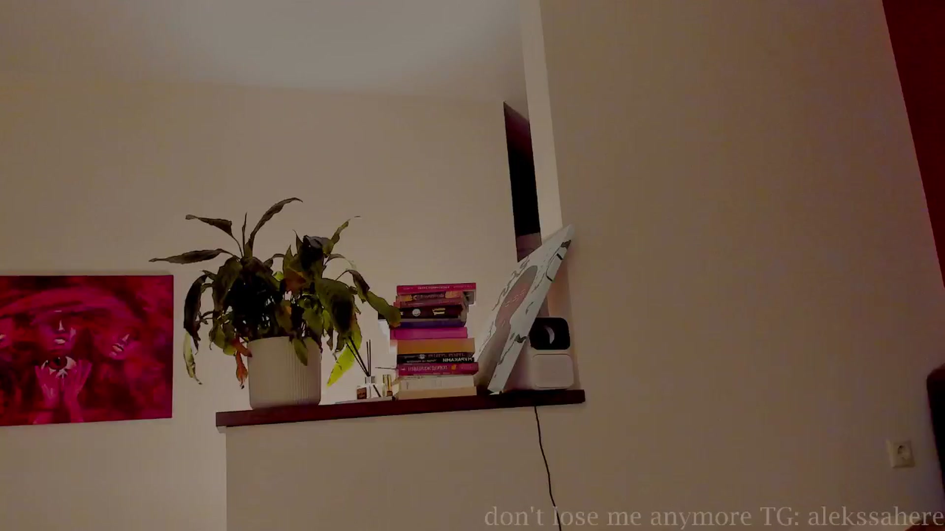 Gallery image thumbnail from AlexaGirl1's myfreecams stream on, 03/29/2025, 17:30 image 19 of 20