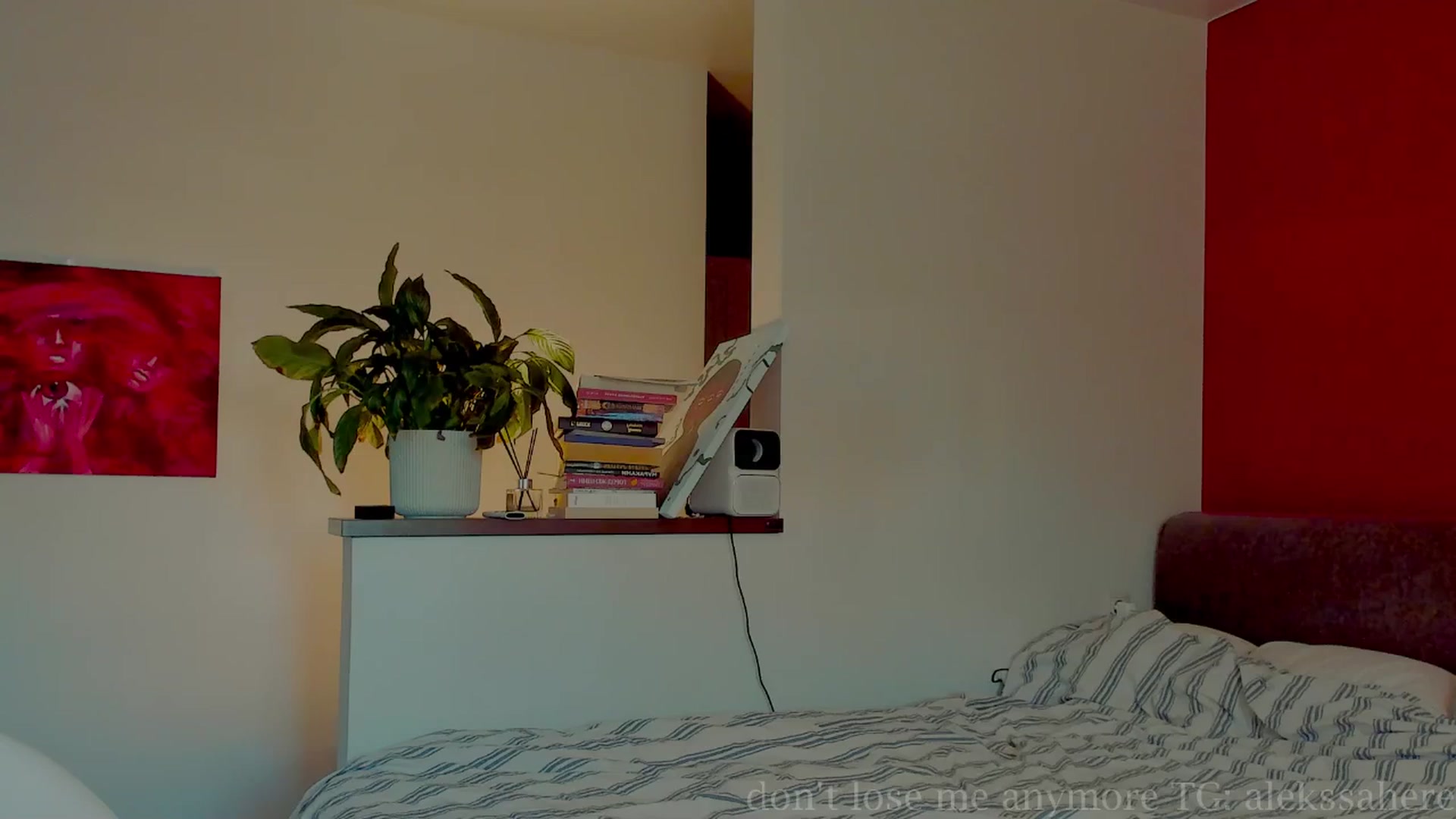 Gallery image thumbnail from AlexaGirl1's myfreecams stream on, 05/26/2025, 15:43 image 16 of 20