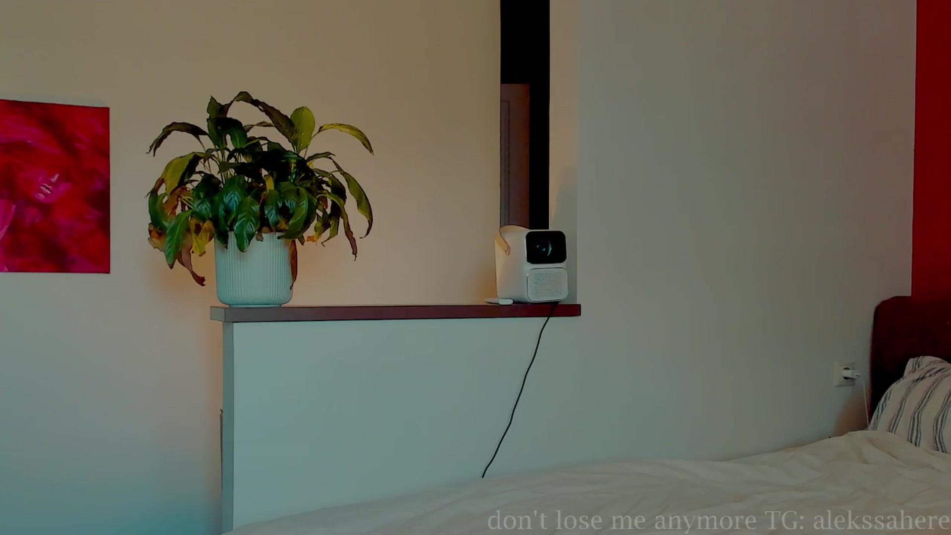 Gallery image thumbnail from AlexaGirl1's myfreecams stream on, 08/02/2025, 15:18 image 16 of 20