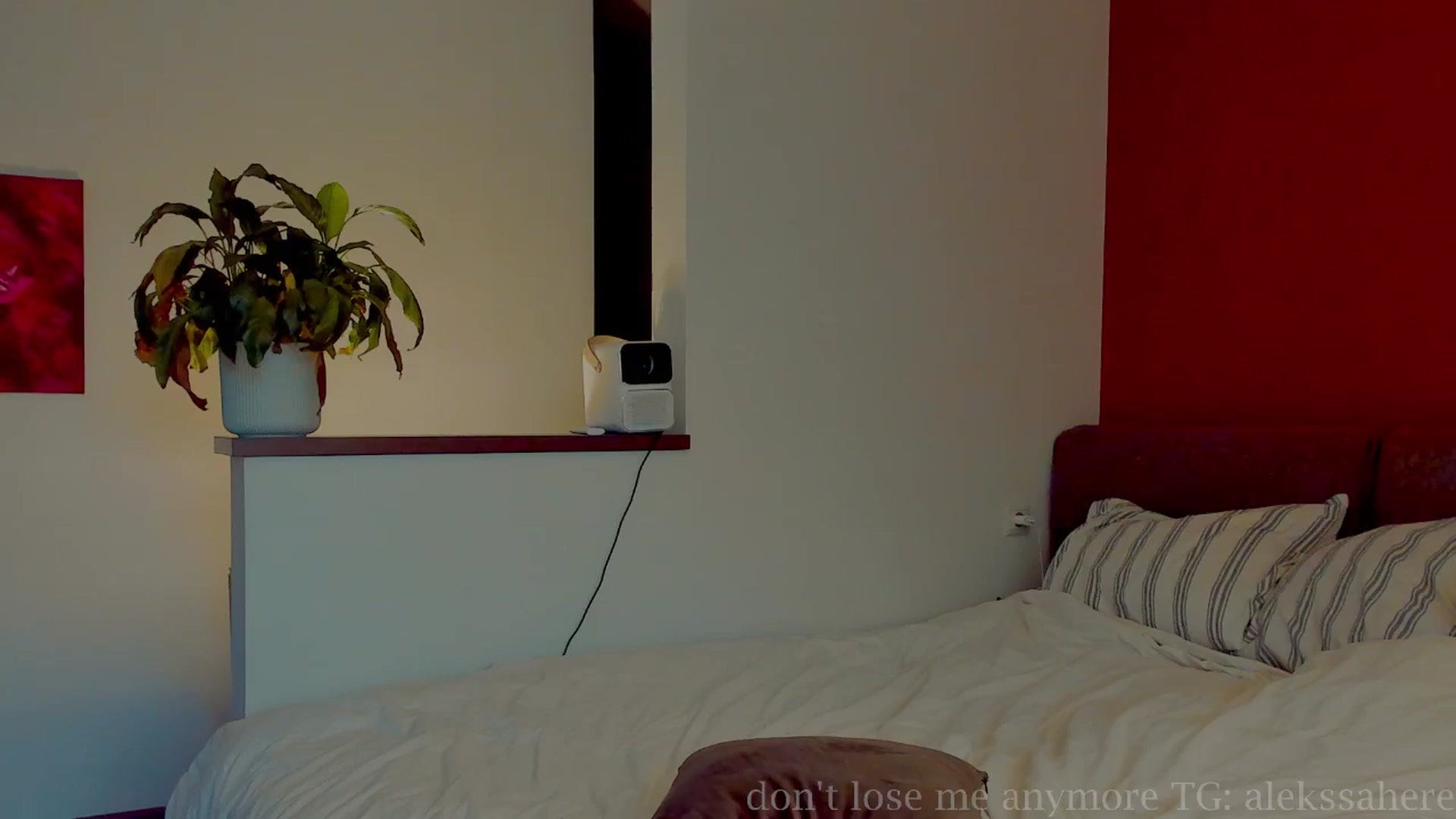 Gallery image thumbnail from AlexaGirl1's myfreecams stream on, 08/02/2025, 16:21 image 14 of 20