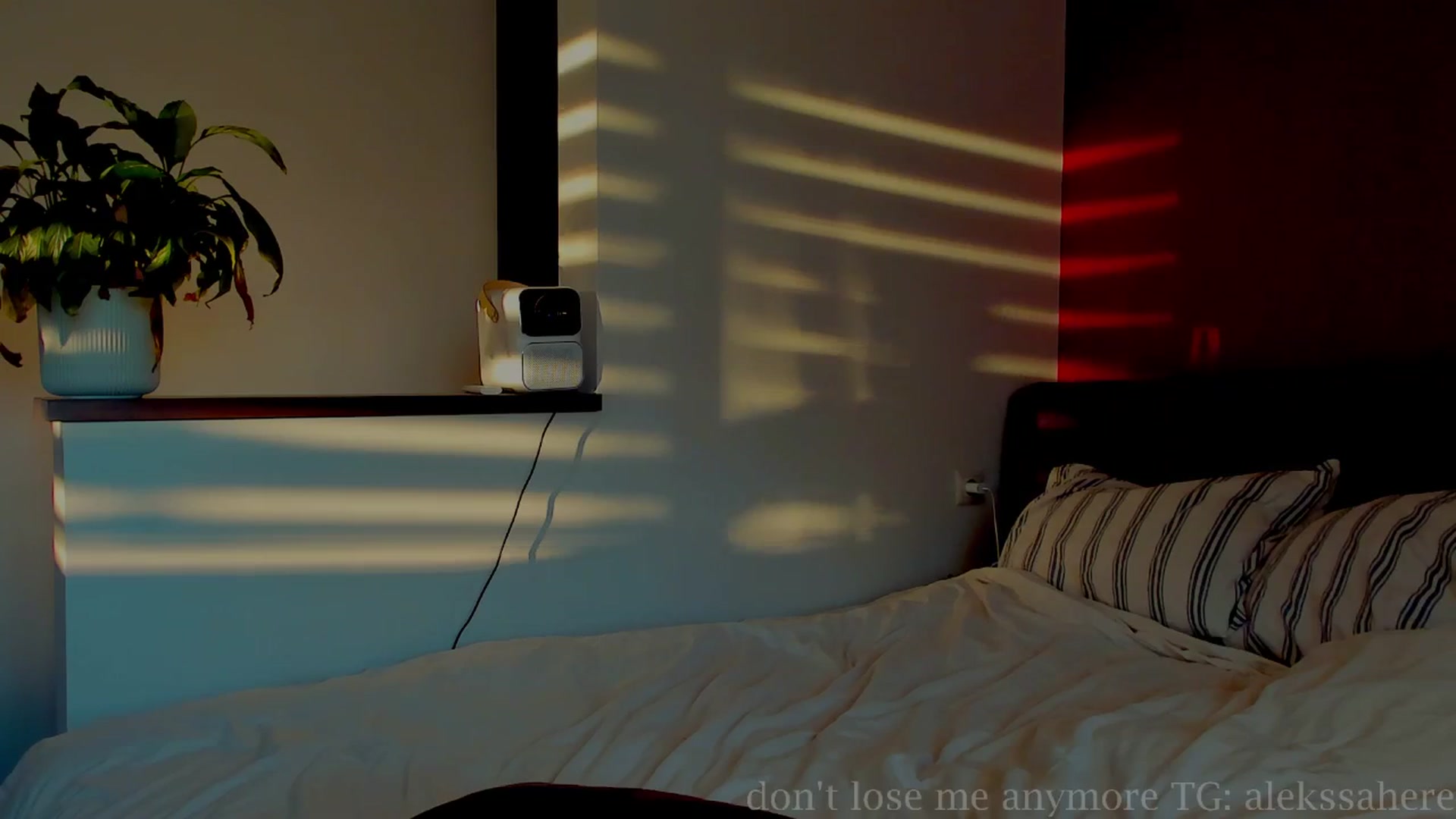 Gallery image thumbnail from AlexaGirl1's myfreecams stream on, 08/02/2025, 16:21 image 3 of 20