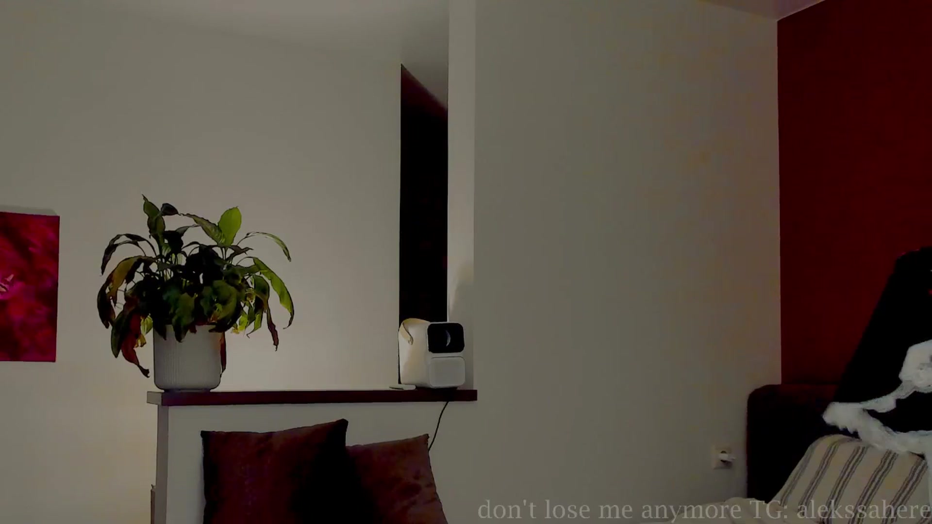 Gallery image thumbnail from AlexaGirl1's myfreecams stream on, 08/05/2025, 16:08 image 20 of 20