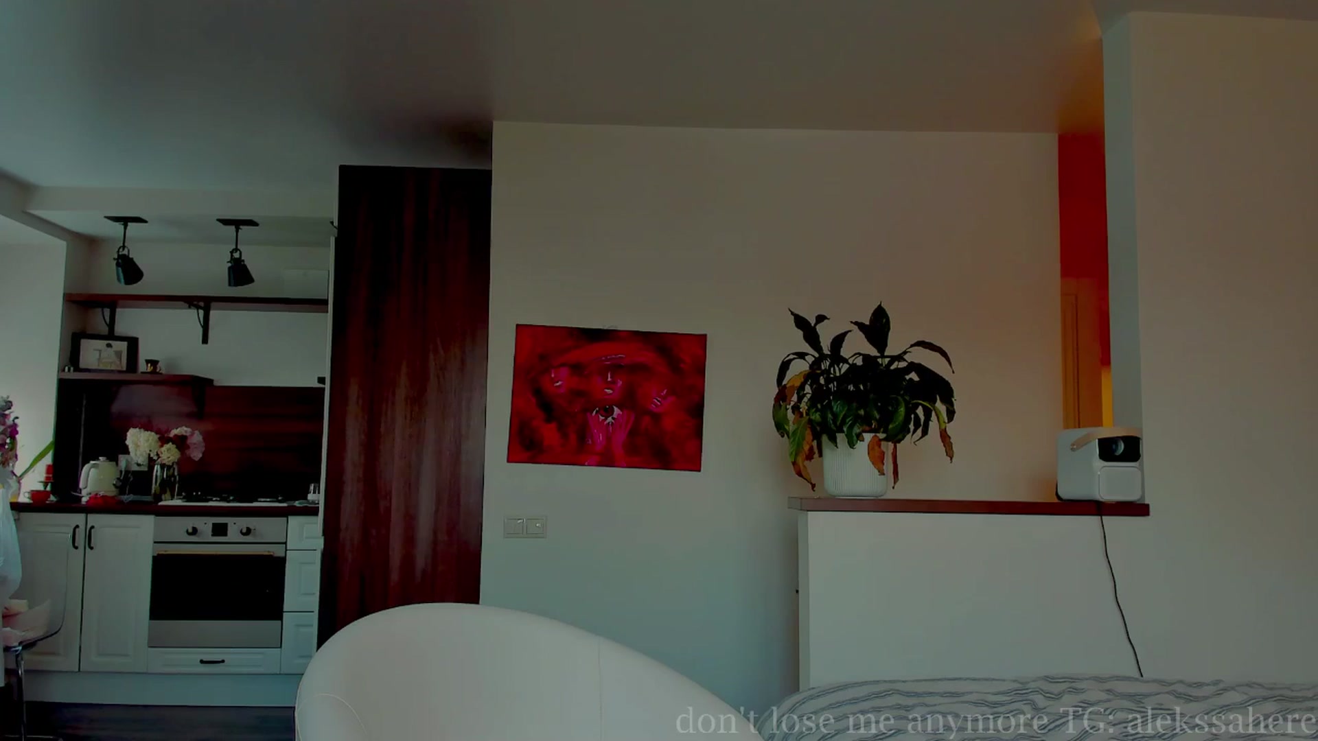 Gallery image thumbnail from AlexaGirl1's myfreecams stream on, 08/14/2025, 13:13 image 17 of 20