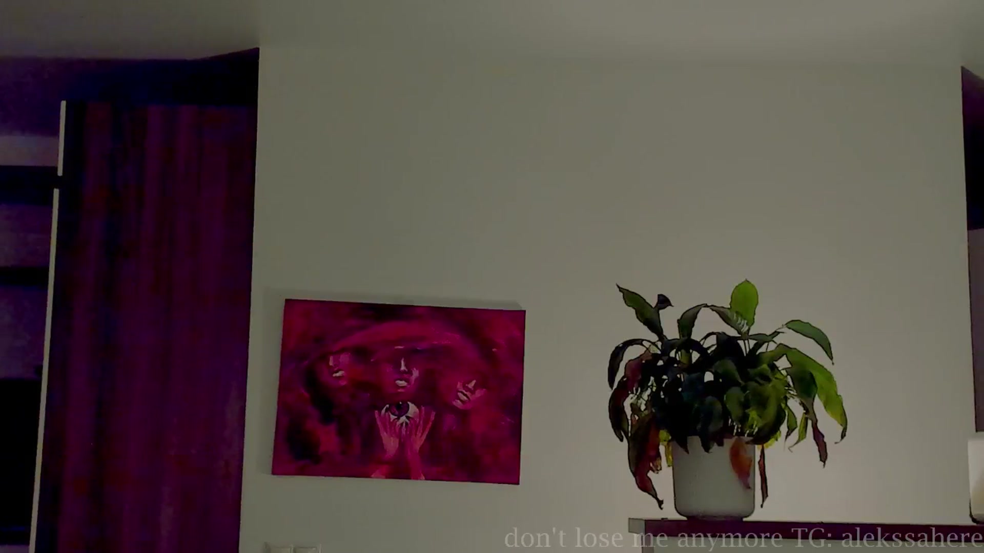 Gallery image thumbnail from AlexaGirl1's myfreecams stream on, 08/22/2025, 17:30 image 12 of 20