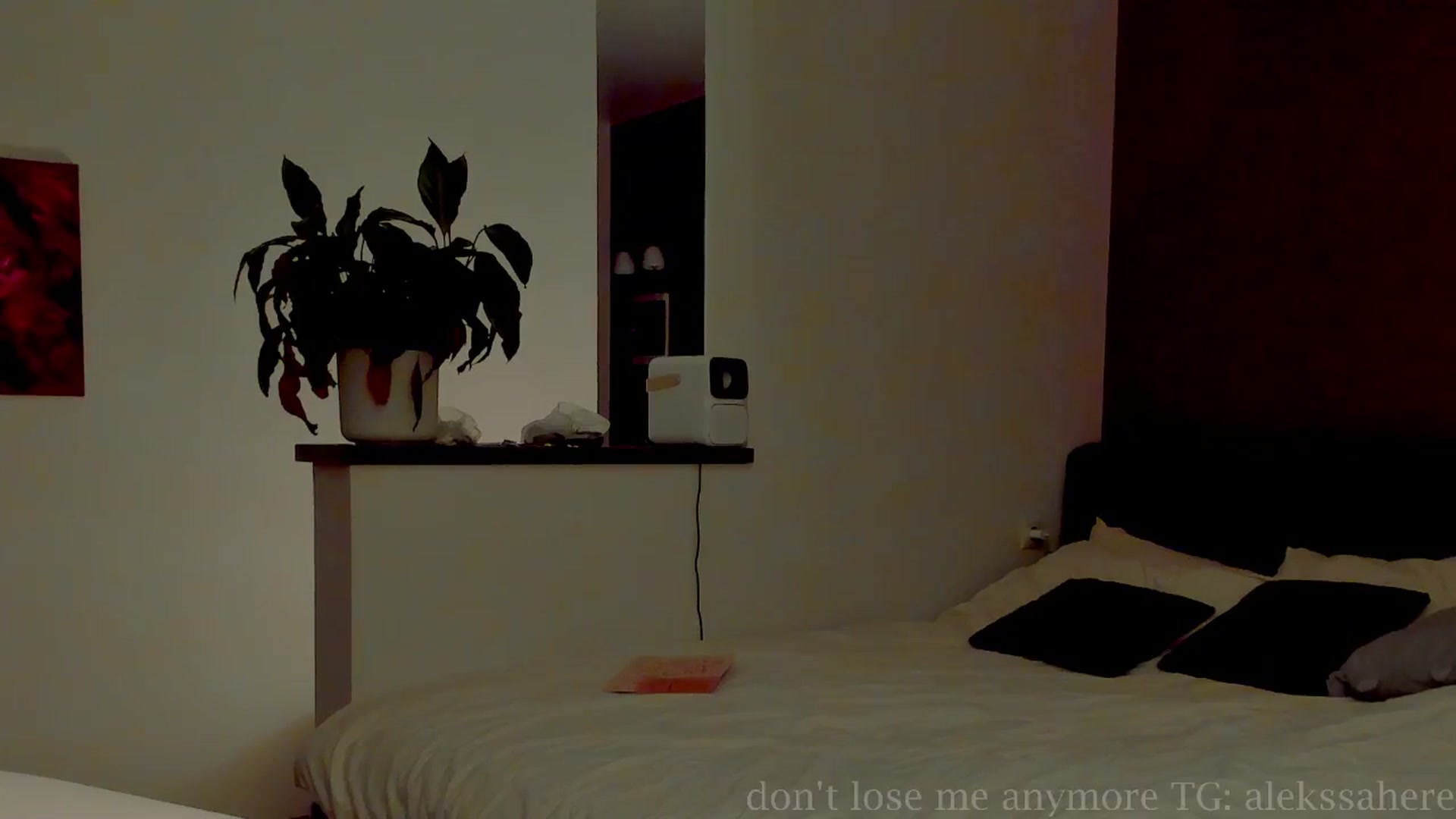 Gallery image thumbnail from AlexaGirl1's myfreecams stream on, 09/21/2025, 17:33 image 18 of 20
