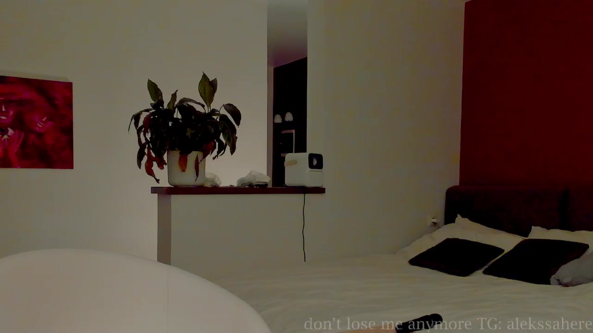Gallery image thumbnail from AlexaGirl1's myfreecams stream on, 09/21/2025, 17:33 image 2 of 20