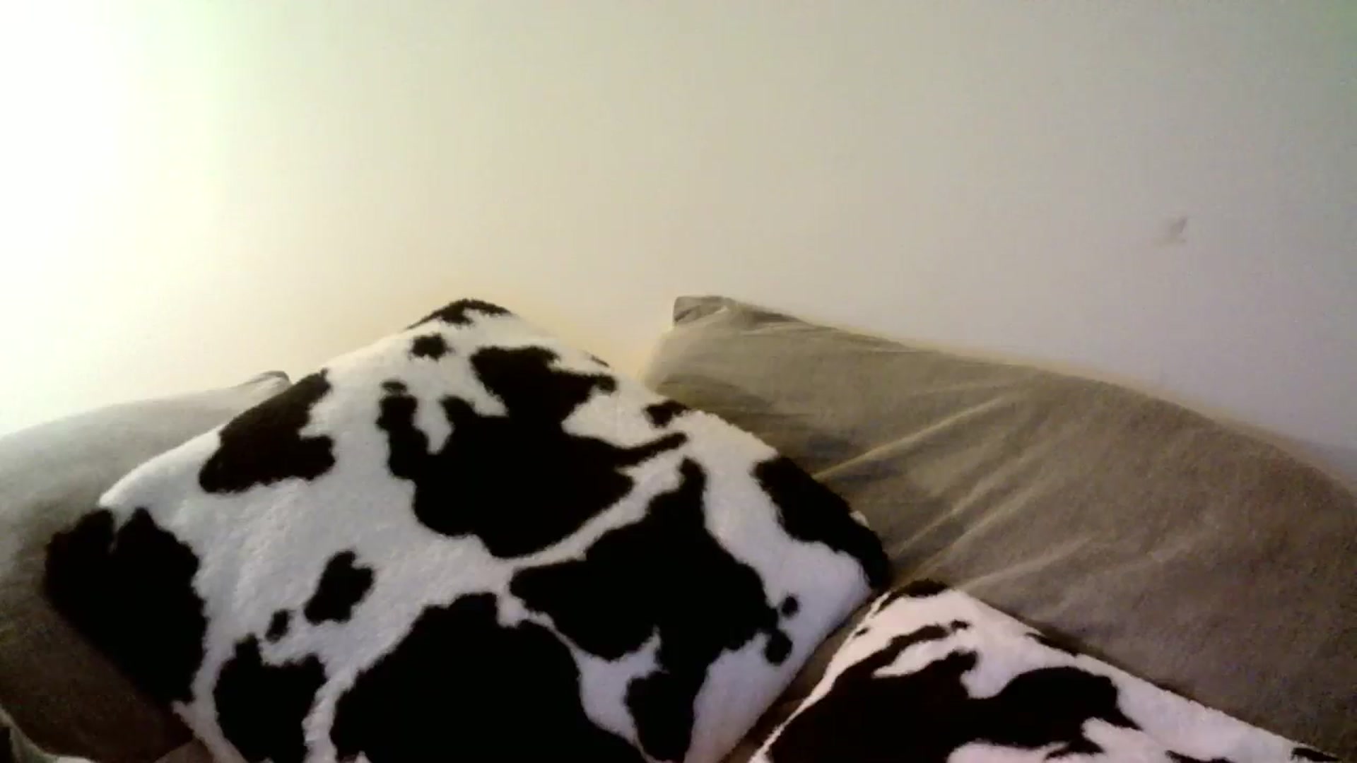 Gallery image thumbnail from AlexaRaeBlake's myfreecams stream on, 03/23/2024, 09:59 image 12 of 20