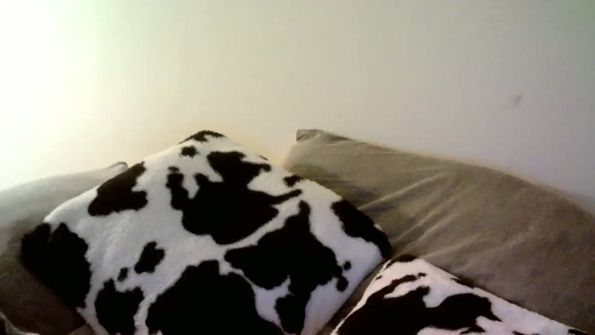 Gallery image thumbnail from AlexaRaeBlake's myfreecams stream on, 03/23/2024, 09:59 image 11 of 20