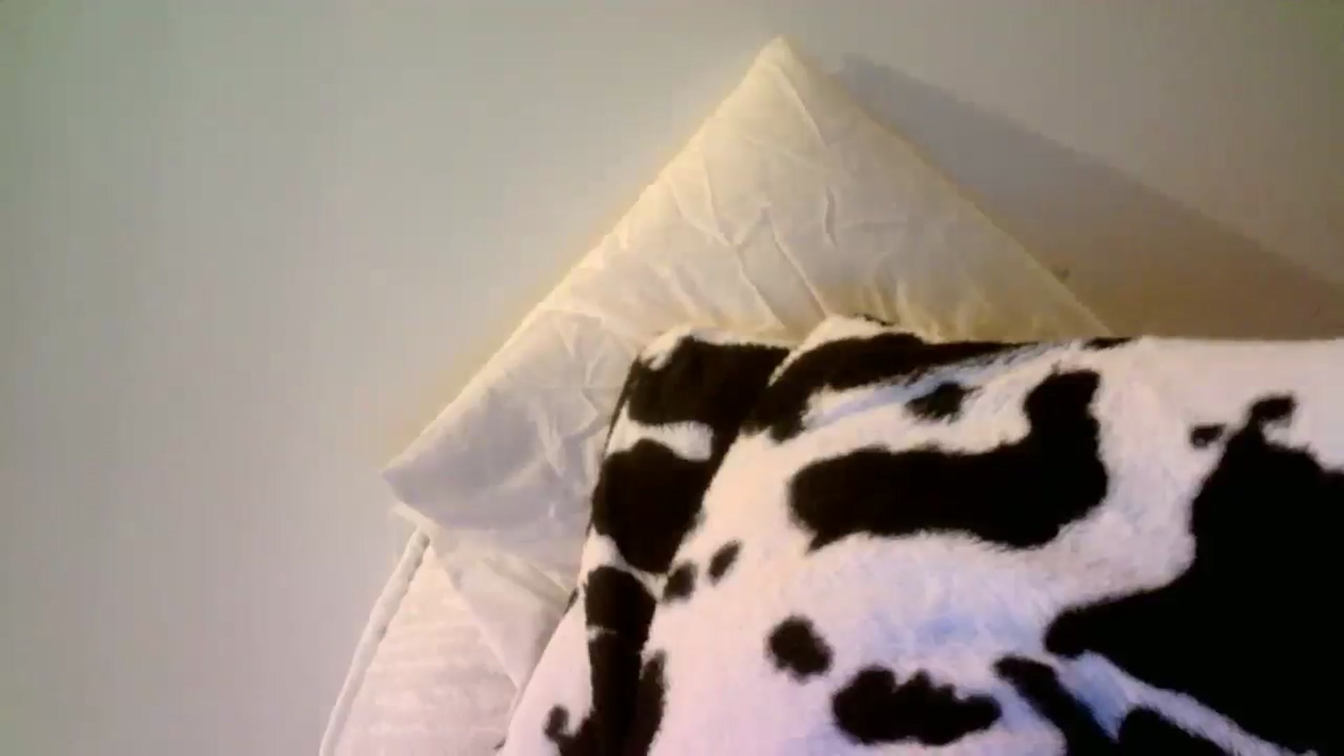 Gallery image thumbnail from AlexaRaeBlake's myfreecams stream on, 05/07/2024, 11:34 image 15 of 20