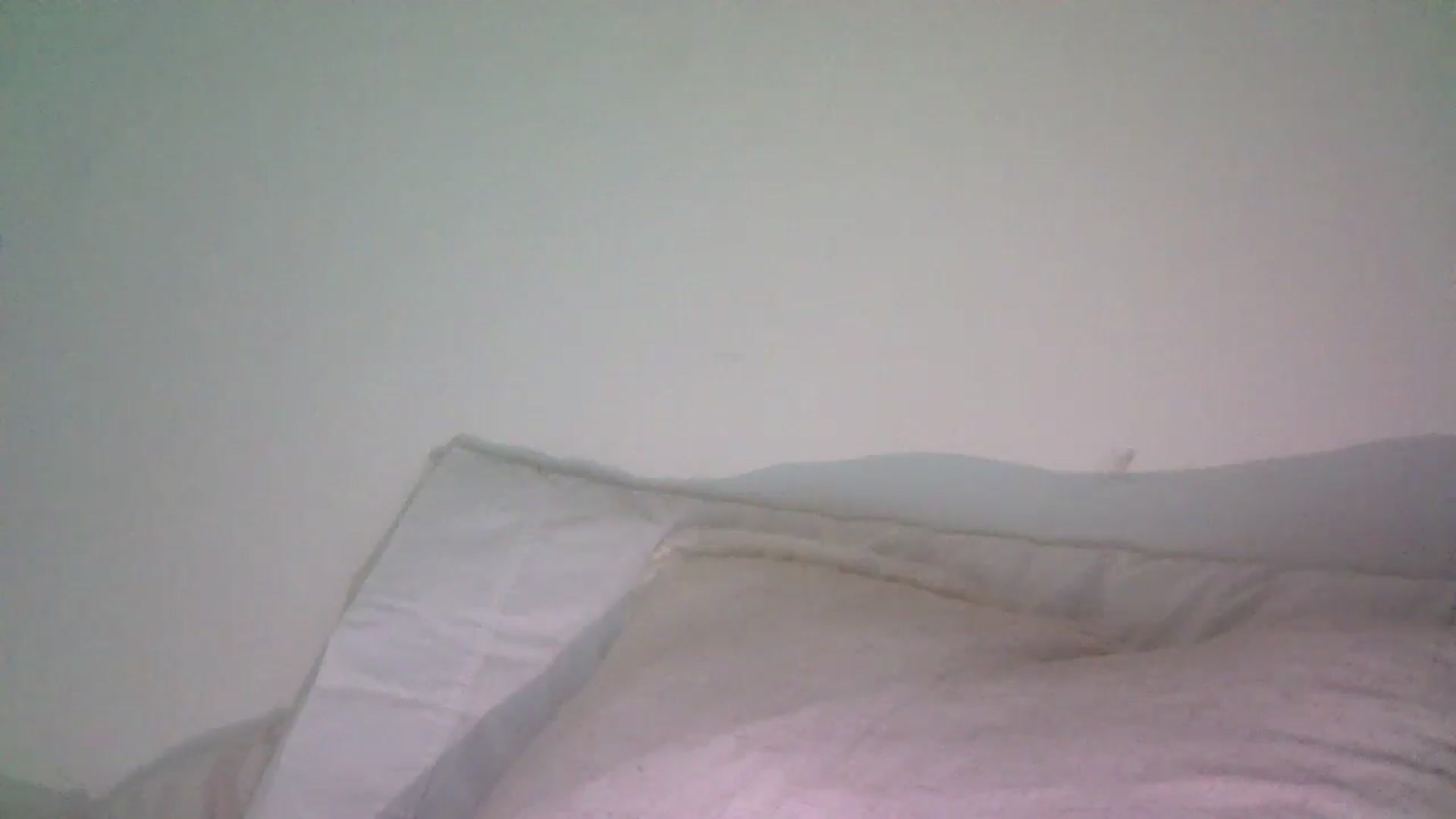 Gallery image thumbnail from AlexaRaeBlake's myfreecams stream on, 05/31/2024, 24:13 image 3 of 20