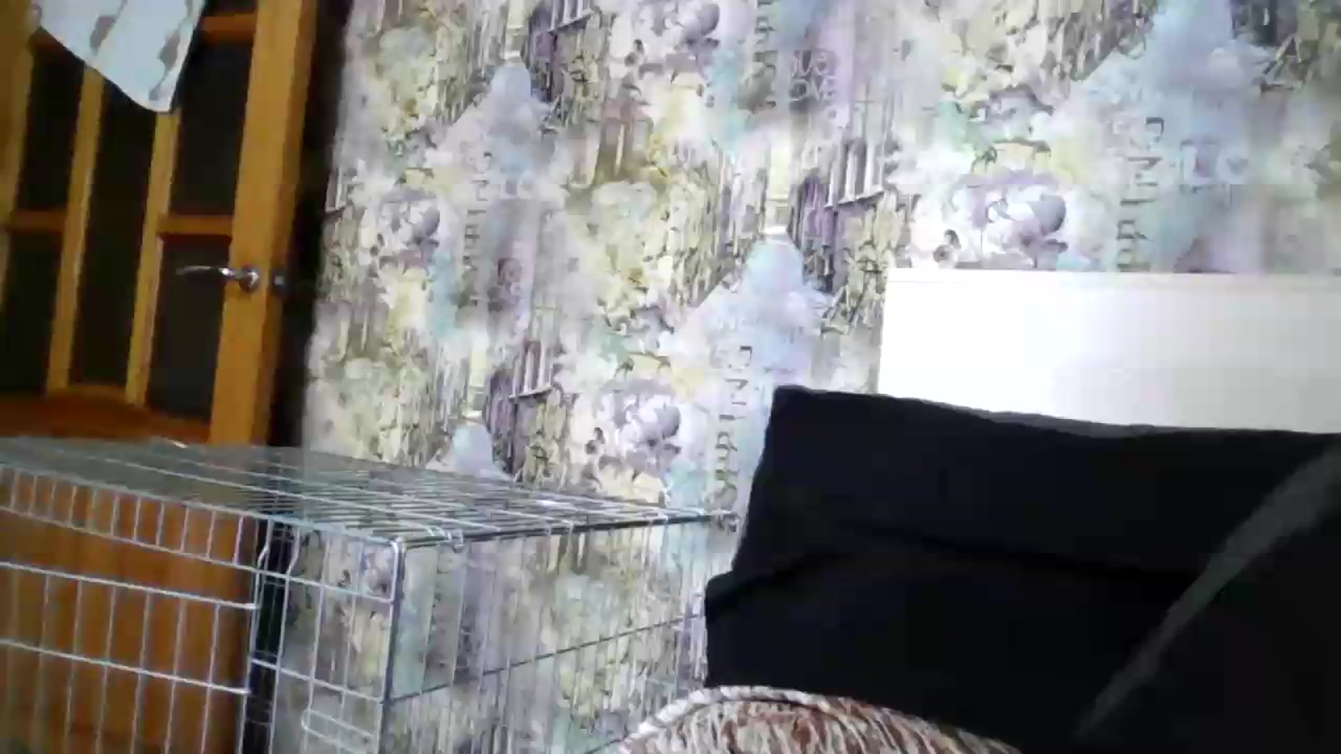 Gallery image thumbnail from AlexaRaze's myfreecams stream on, 08/30/2026, 11:46 image 11 of 20