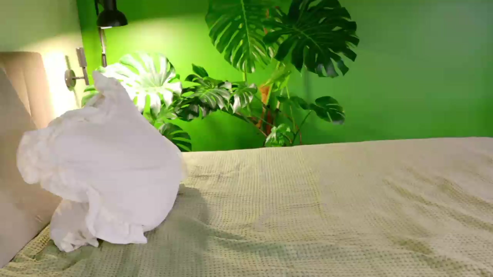 Gallery image thumbnail from AlexaShik's myfreecams stream on, 09/03/2026, 19:30 image 6 of 20