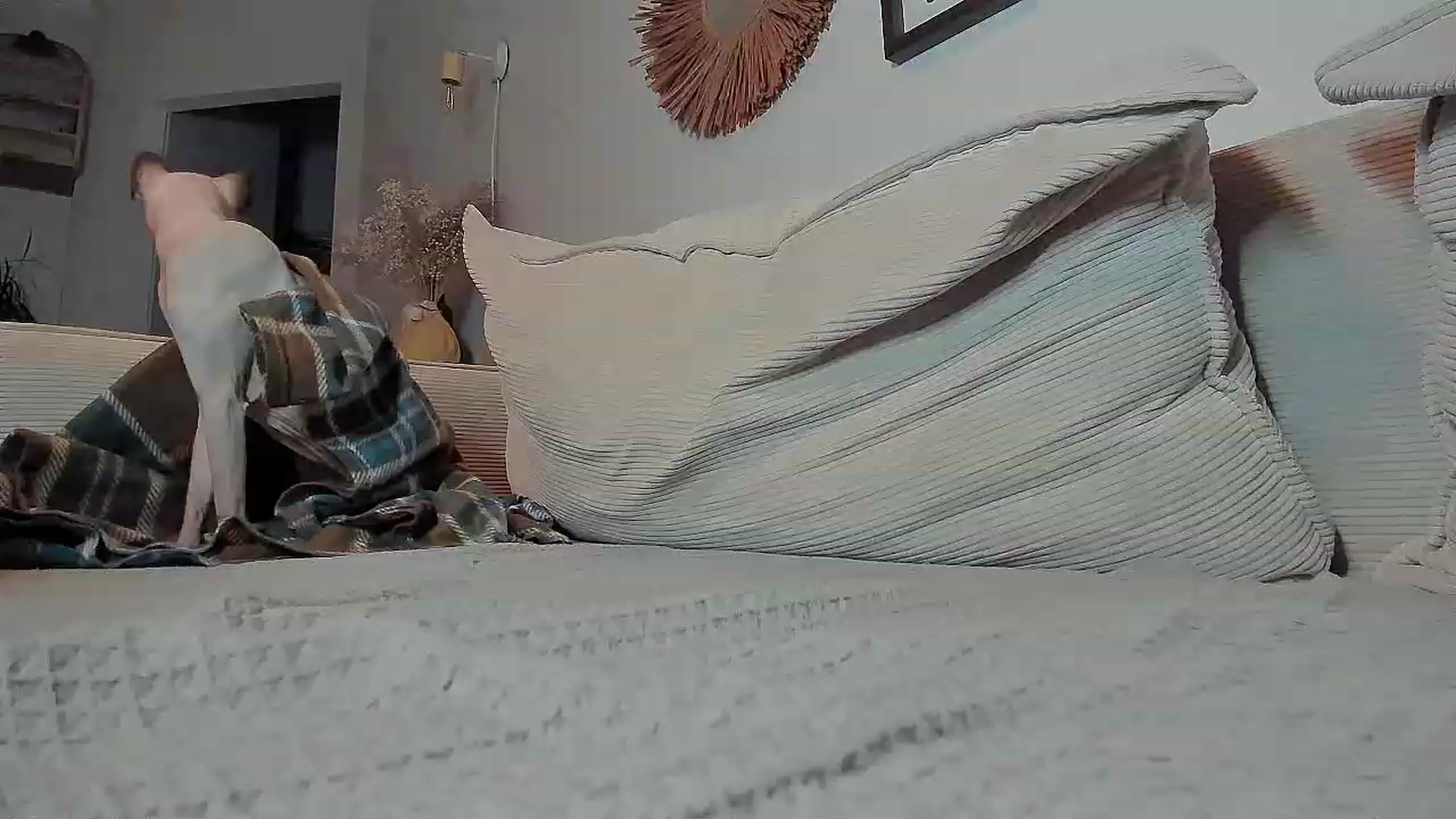 Gallery image thumbnail from Alexa_Smithhh's myfreecams stream on, 09/02/2023, 18:30 image 13 of 20