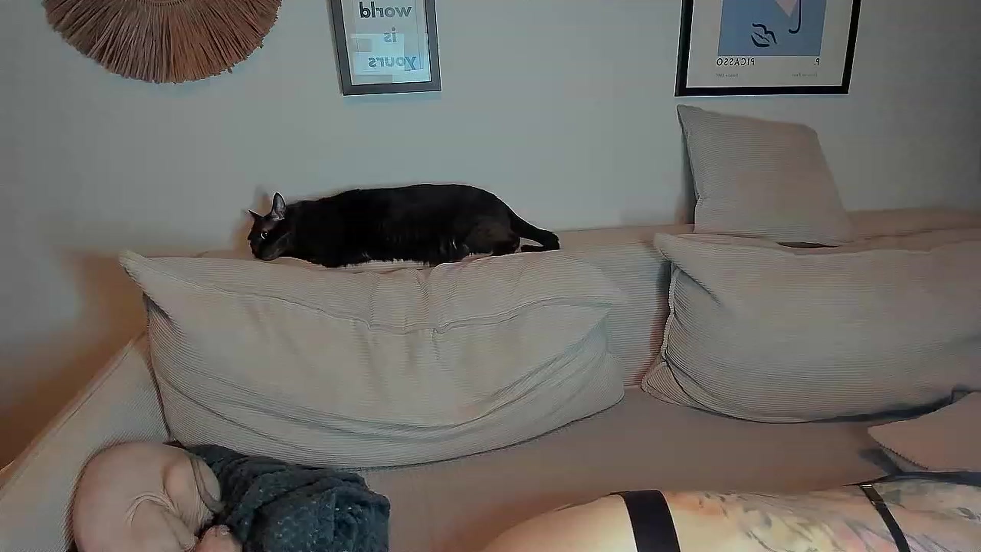 Gallery image thumbnail from Alexa_Smithhh's myfreecams stream on, 11/09/2023, 21:22 image 7 of 20