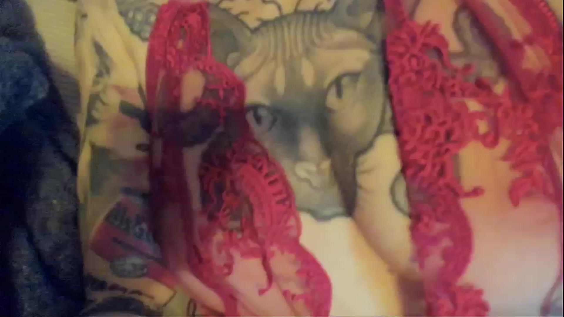 Gallery image thumbnail from Alexa_Smithhh's myfreecams stream on, 02/01/2024, 19:55 image 15 of 20