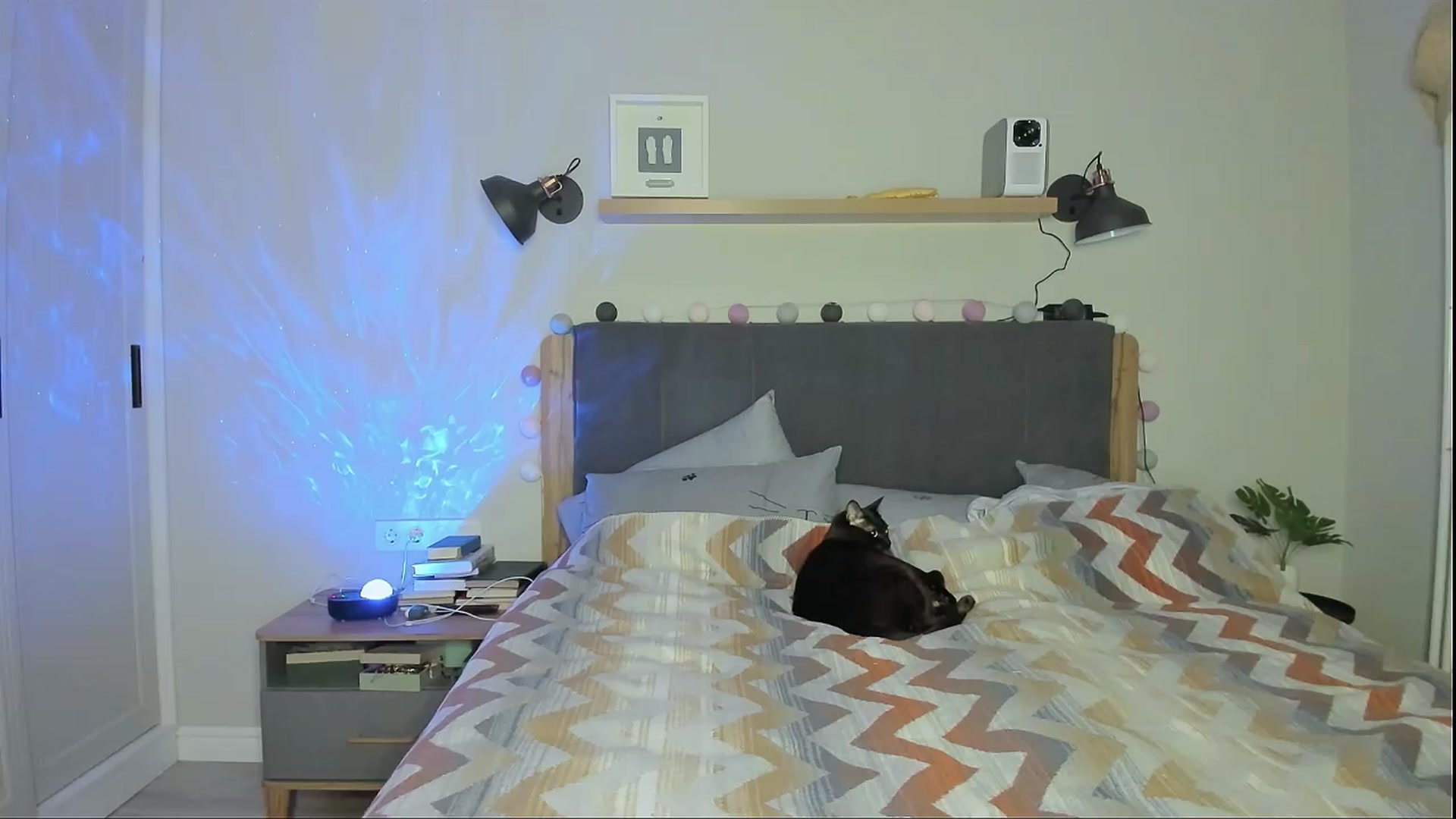 Gallery image thumbnail from Alexa_Smithhh's myfreecams stream on, 04/15/2024, 20:57 image 2 of 20
