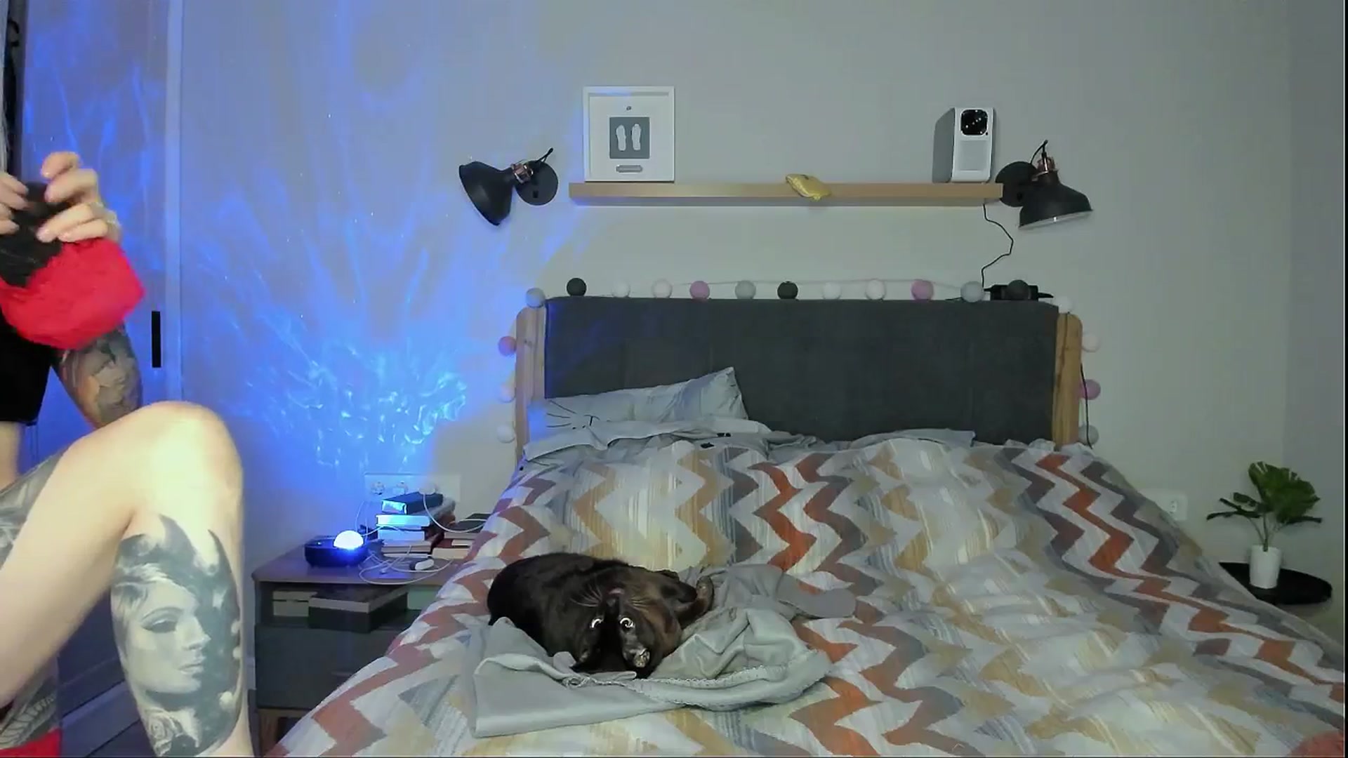 Gallery image thumbnail from Alexa_Smithhh's myfreecams stream on, 04/27/2024, 20:41 image 4 of 20