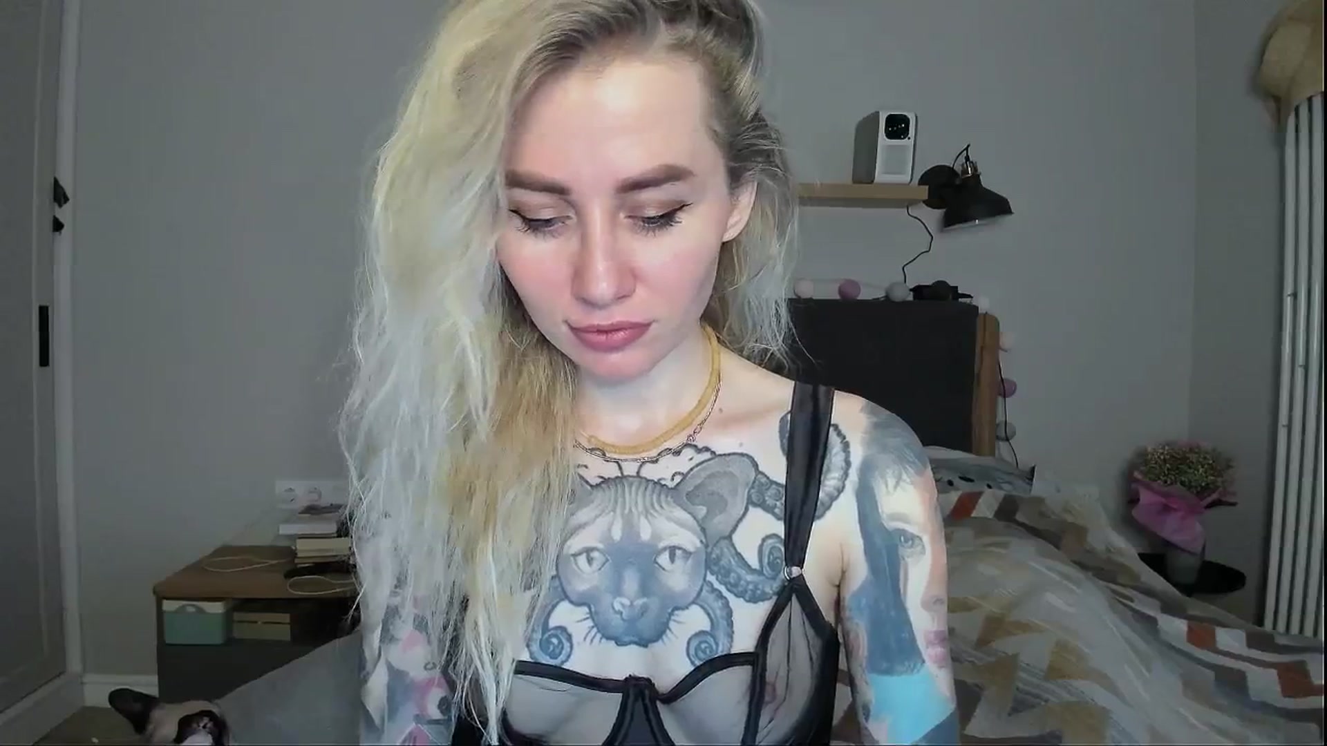 Gallery image thumbnail from Alexa_Smithhh's myfreecams stream on, 05/07/2024, 18:14 image 16 of 20