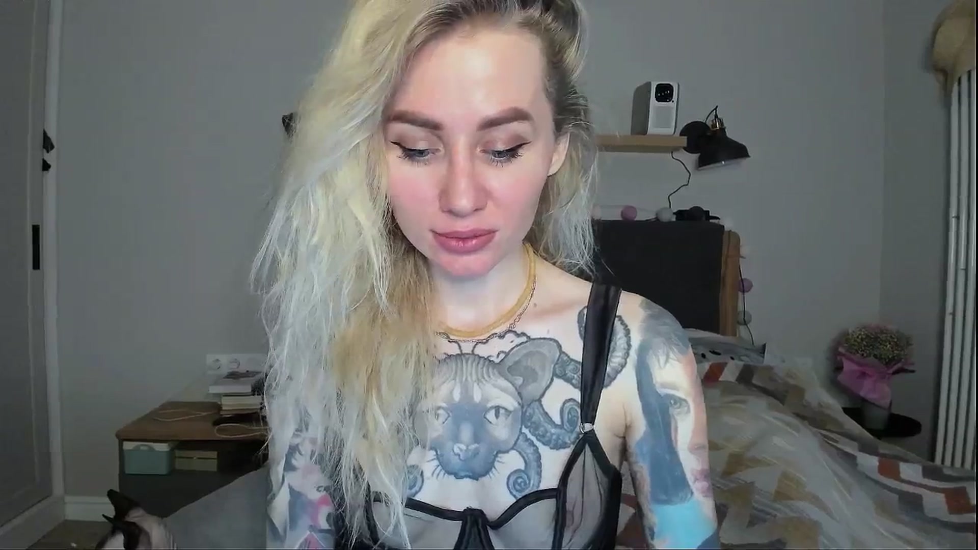 Gallery image thumbnail from Alexa_Smithhh's myfreecams stream on, 05/07/2024, 18:14 image 20 of 20