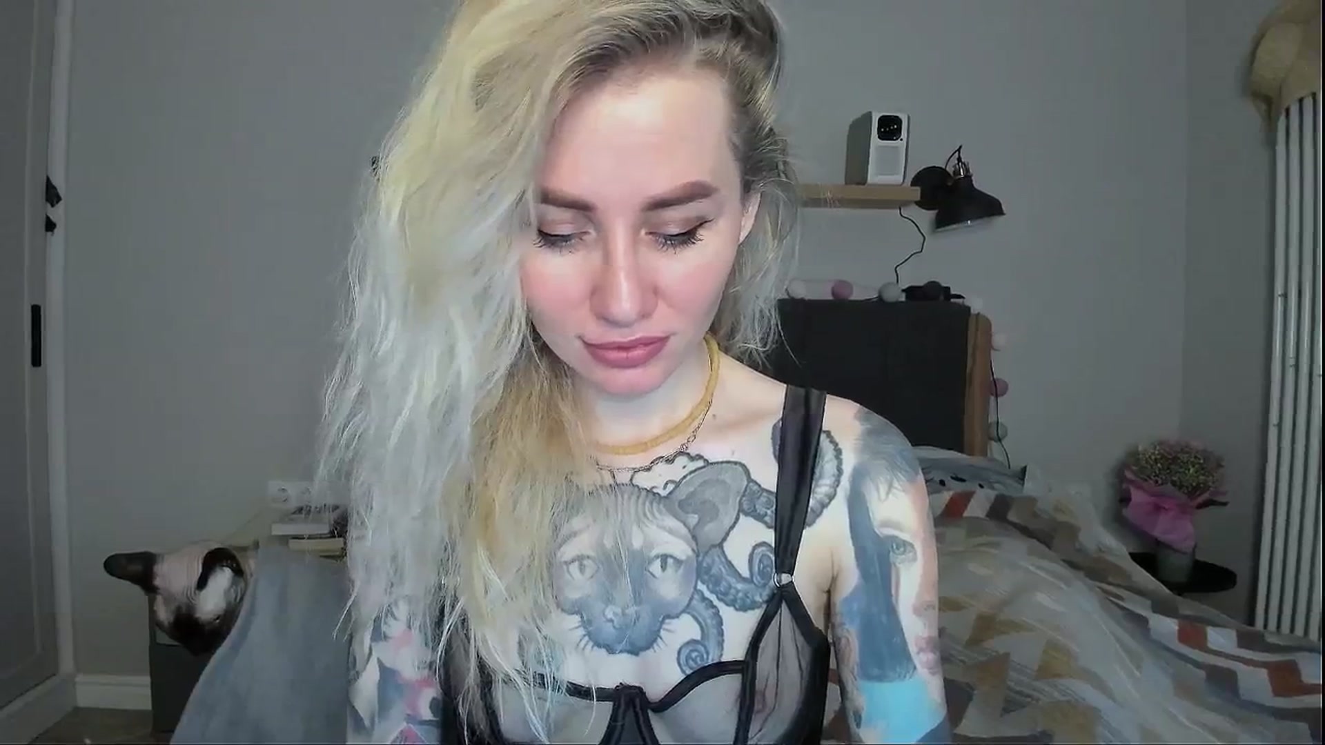 Gallery image thumbnail from Alexa_Smithhh's myfreecams stream on, 05/07/2024, 18:14 image 9 of 20