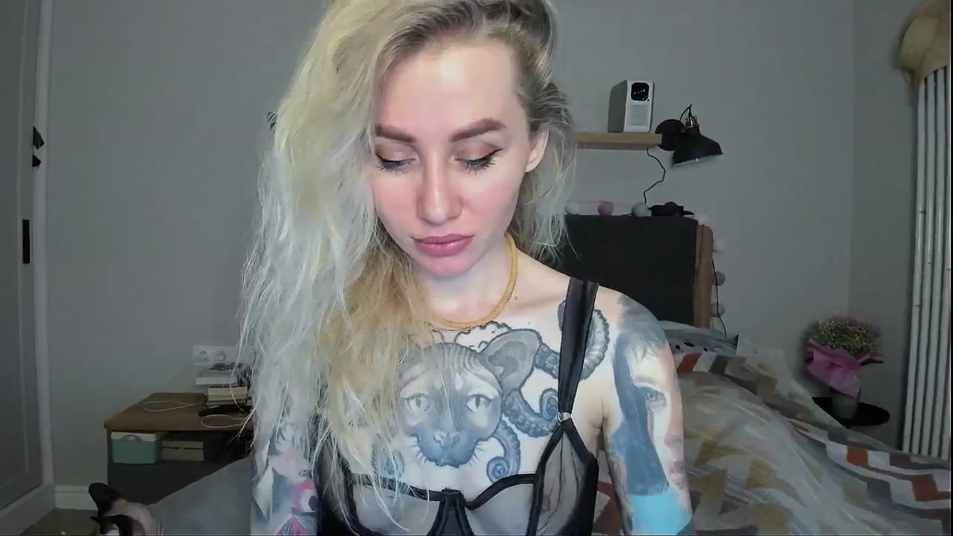 Gallery image thumbnail from Alexa_Smithhh's myfreecams stream on, 05/07/2024, 18:14 image 13 of 20