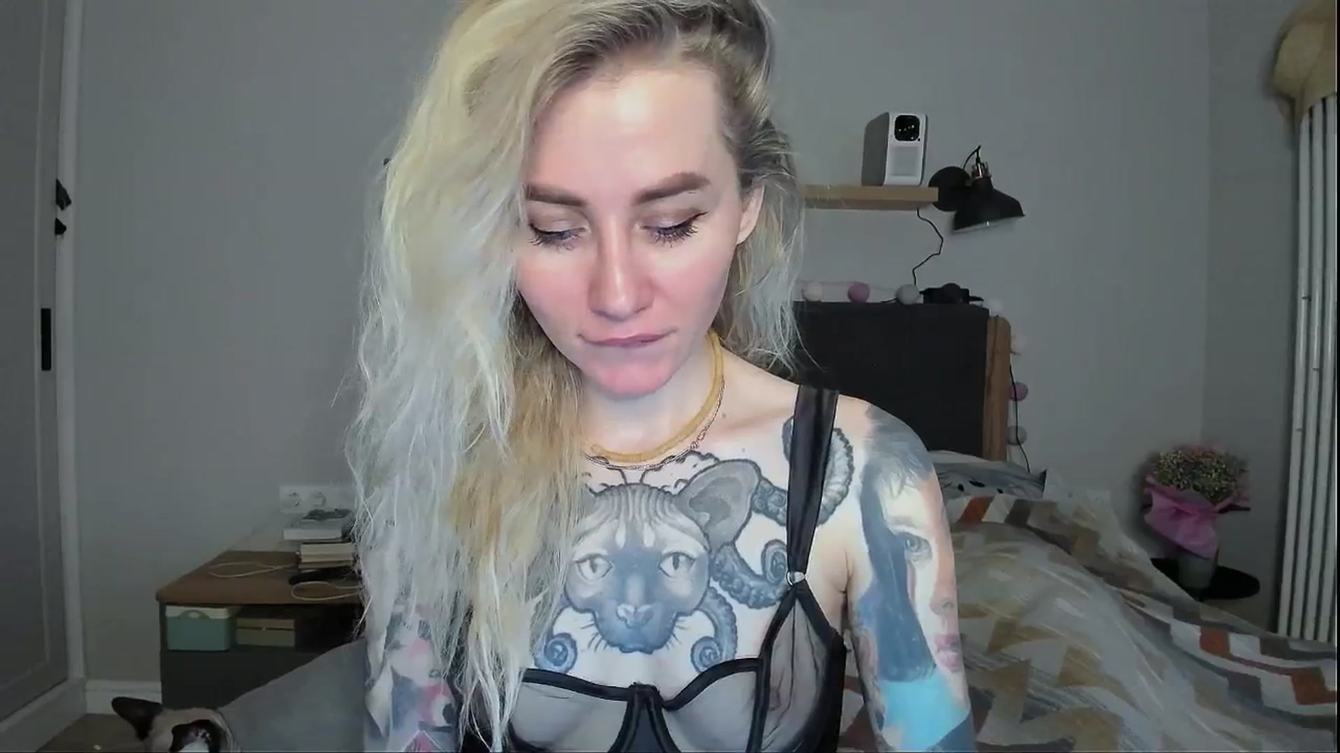 Gallery image thumbnail from Alexa_Smithhh's myfreecams stream on, 05/07/2024, 18:14 image 17 of 20