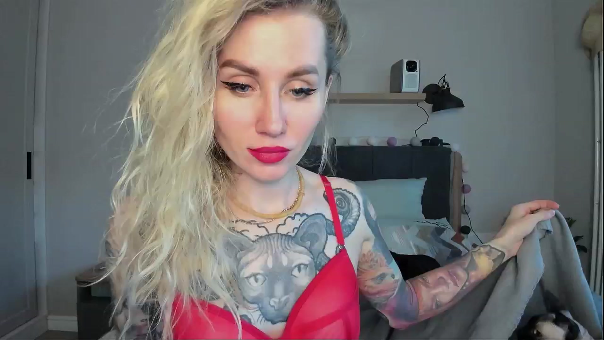 Gallery image thumbnail from Alexa_Smithhh's myfreecams stream on, 05/21/2024, 19:47 image 1 of 20