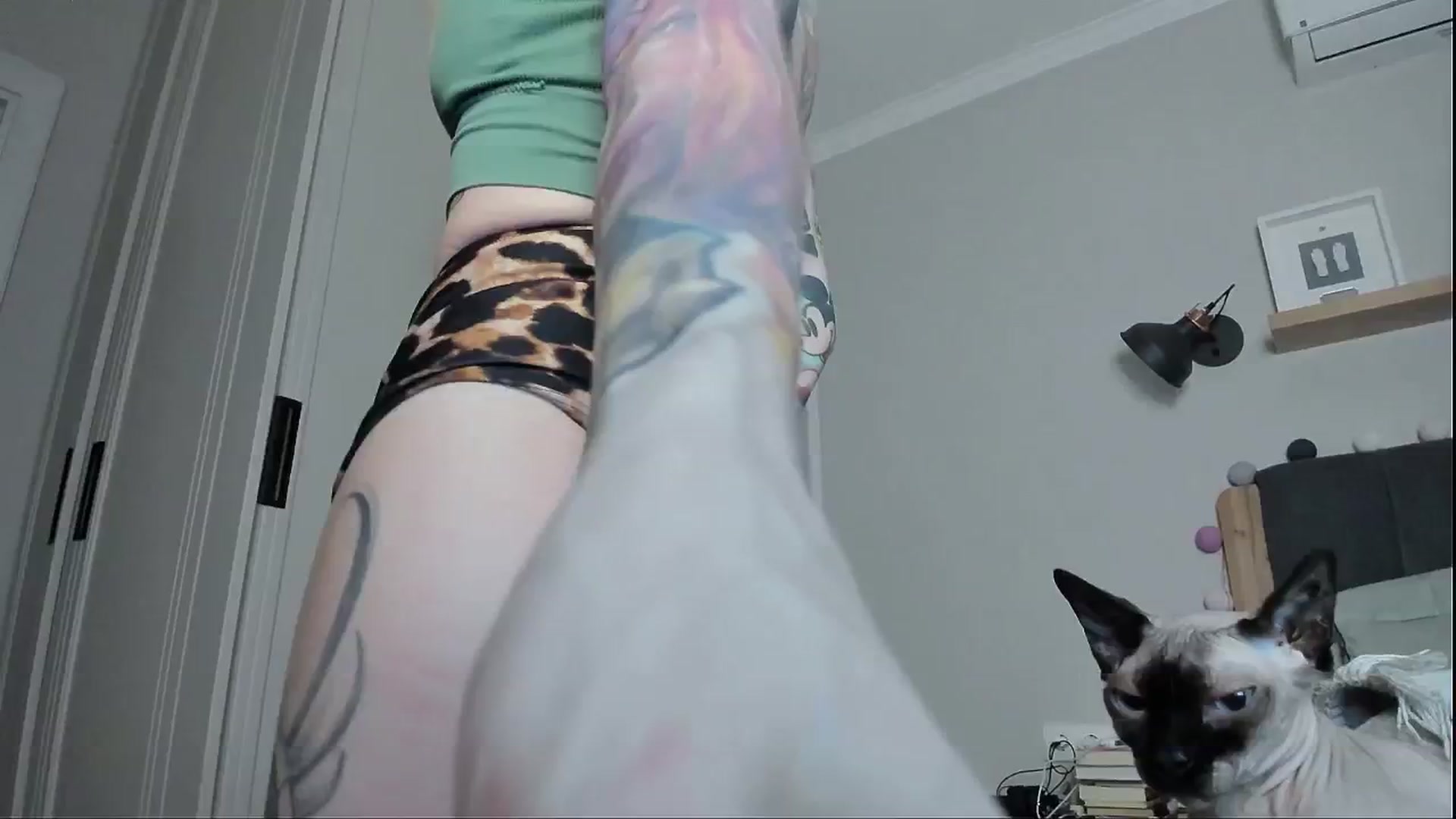 Gallery image thumbnail from Alexa_Smithhh's myfreecams stream on, 06/03/2024, 19:53 image 15 of 20