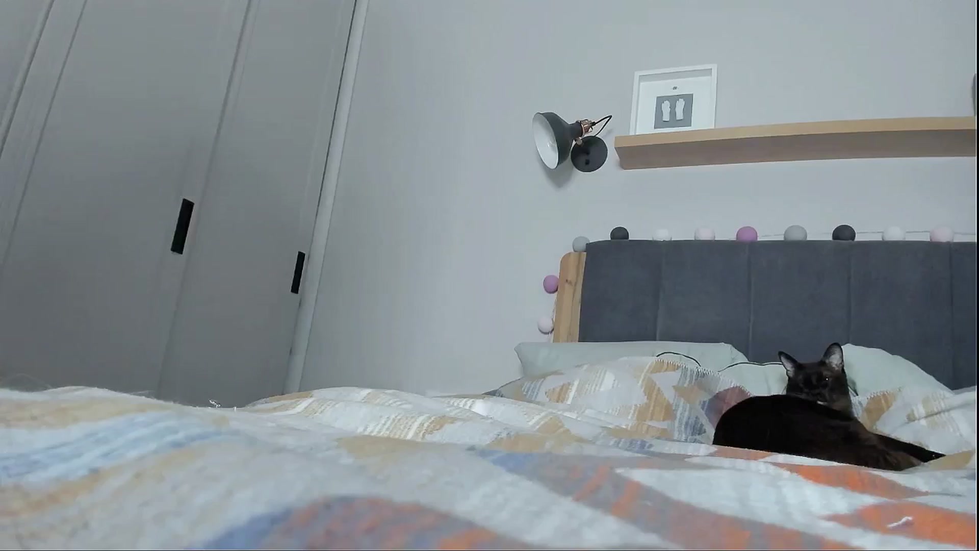 Gallery image thumbnail from Alexa_Smithhh's myfreecams stream on, 06/18/2024, 20:48 image 12 of 20