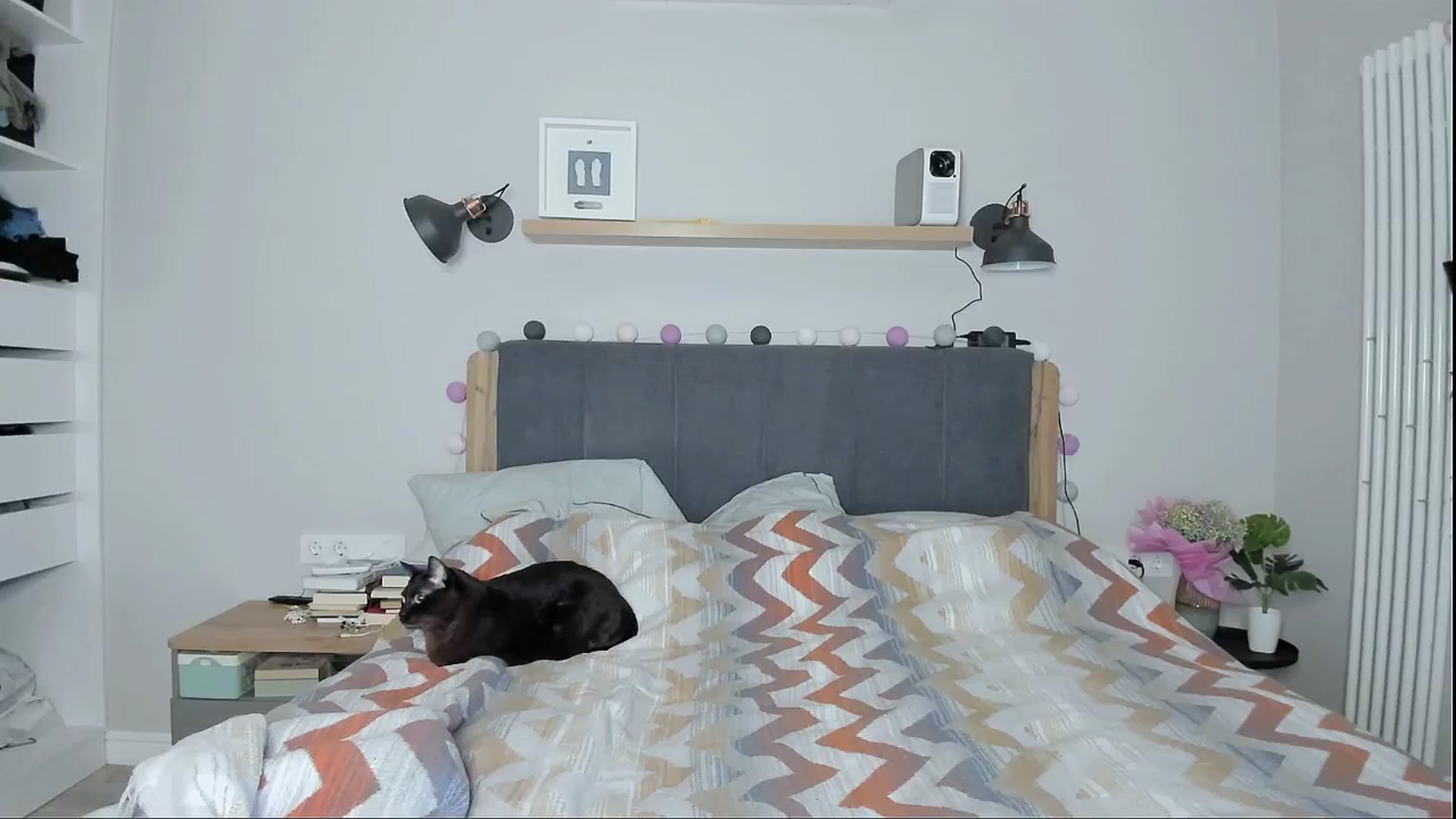 Gallery image thumbnail from Alexa_Smithhh's myfreecams stream on, 06/28/2024, 19:45 image 17 of 20