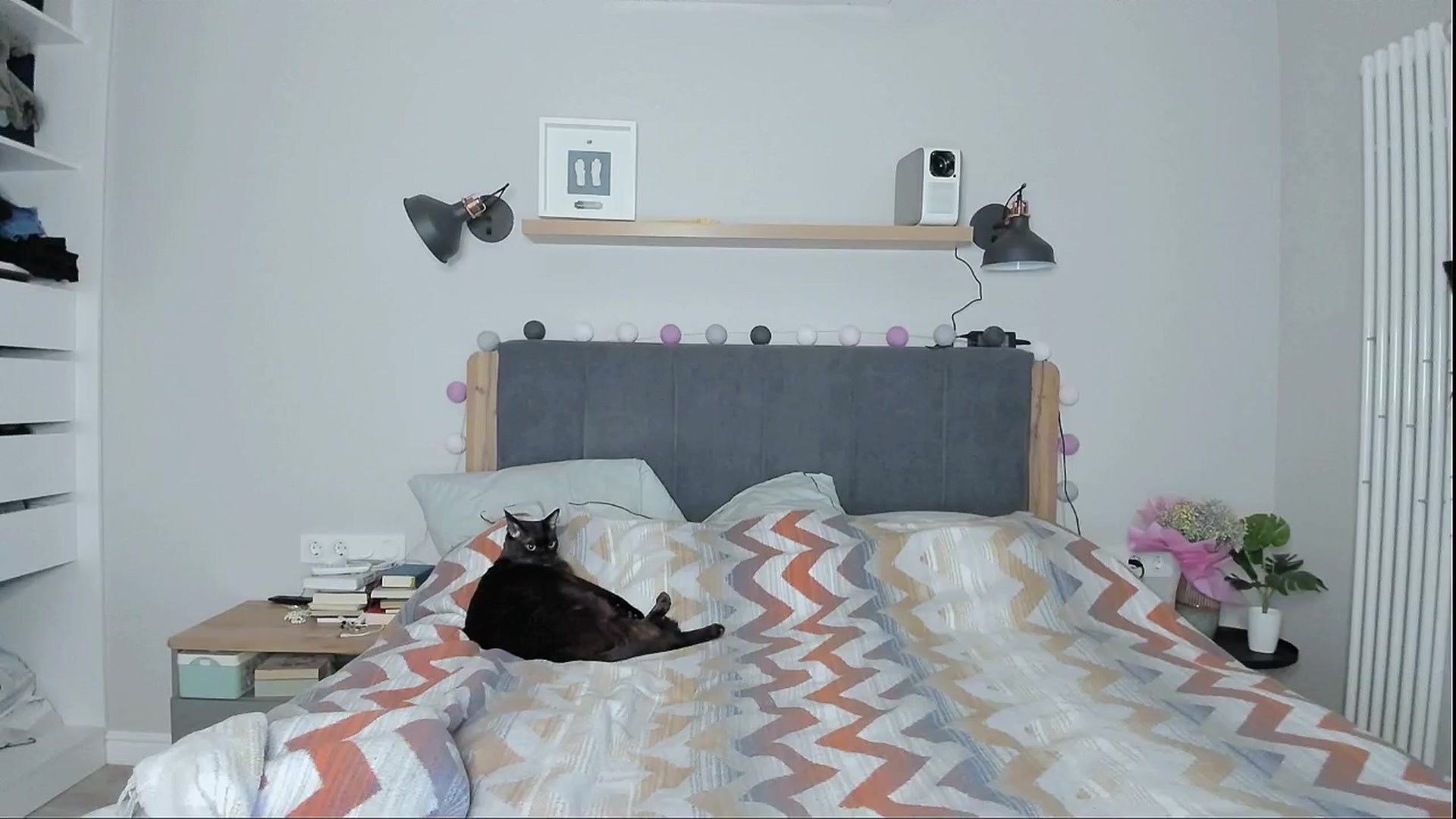 Gallery image thumbnail from Alexa_Smithhh's myfreecams stream on, 06/28/2024, 19:45 image 16 of 20