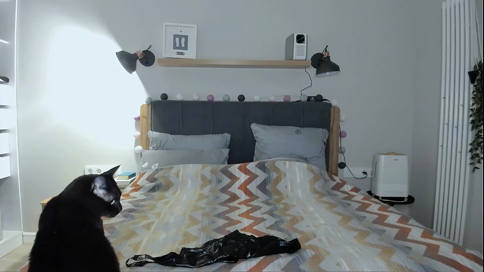 Gallery image thumbnail from Alexa_Smithhh's myfreecams stream on, 07/16/2024, 20:23 image 15 of 20