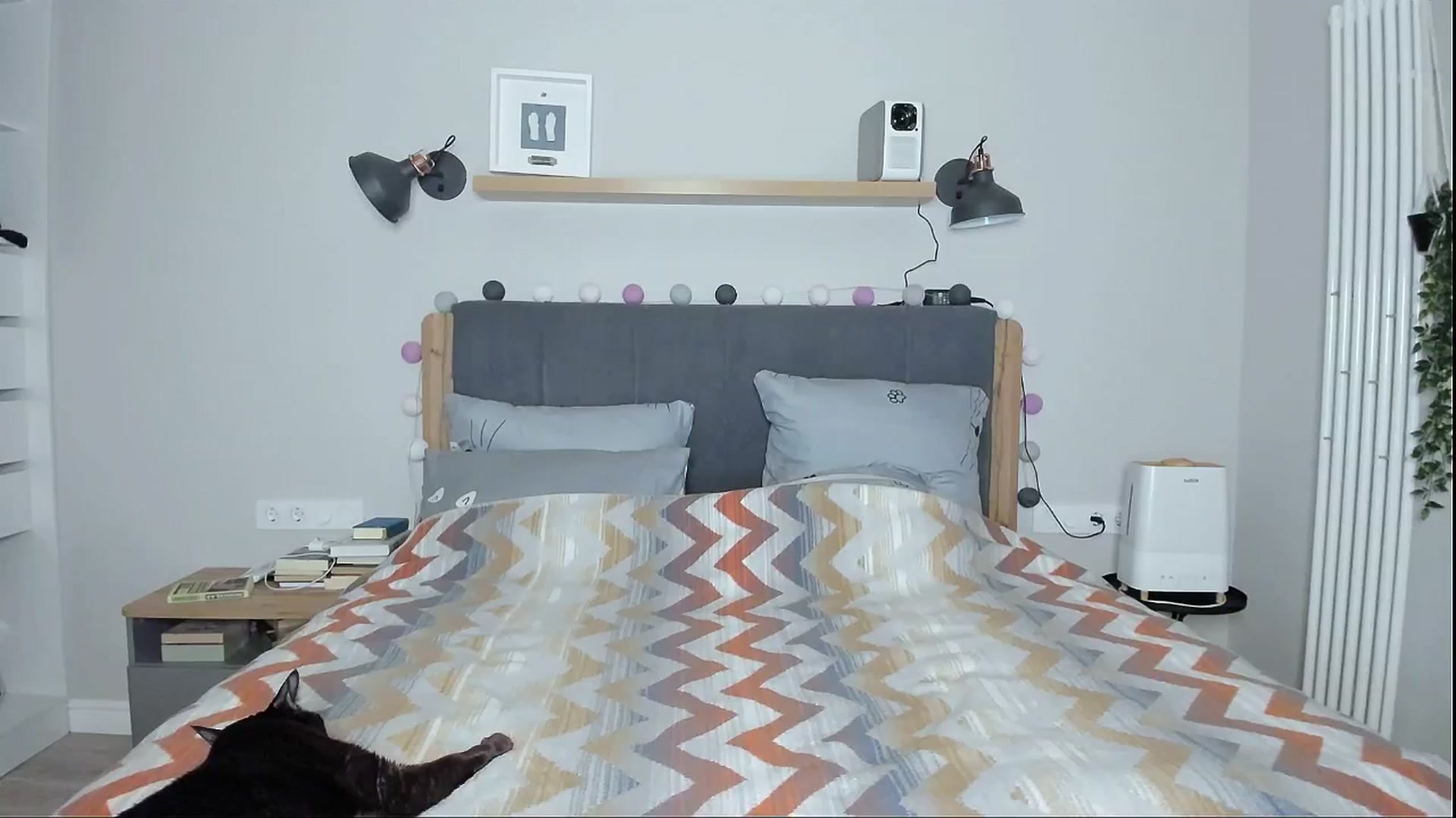 Gallery image thumbnail from Alexa_Smithhh's myfreecams stream on, 07/16/2024, 20:23 image 14 of 20
