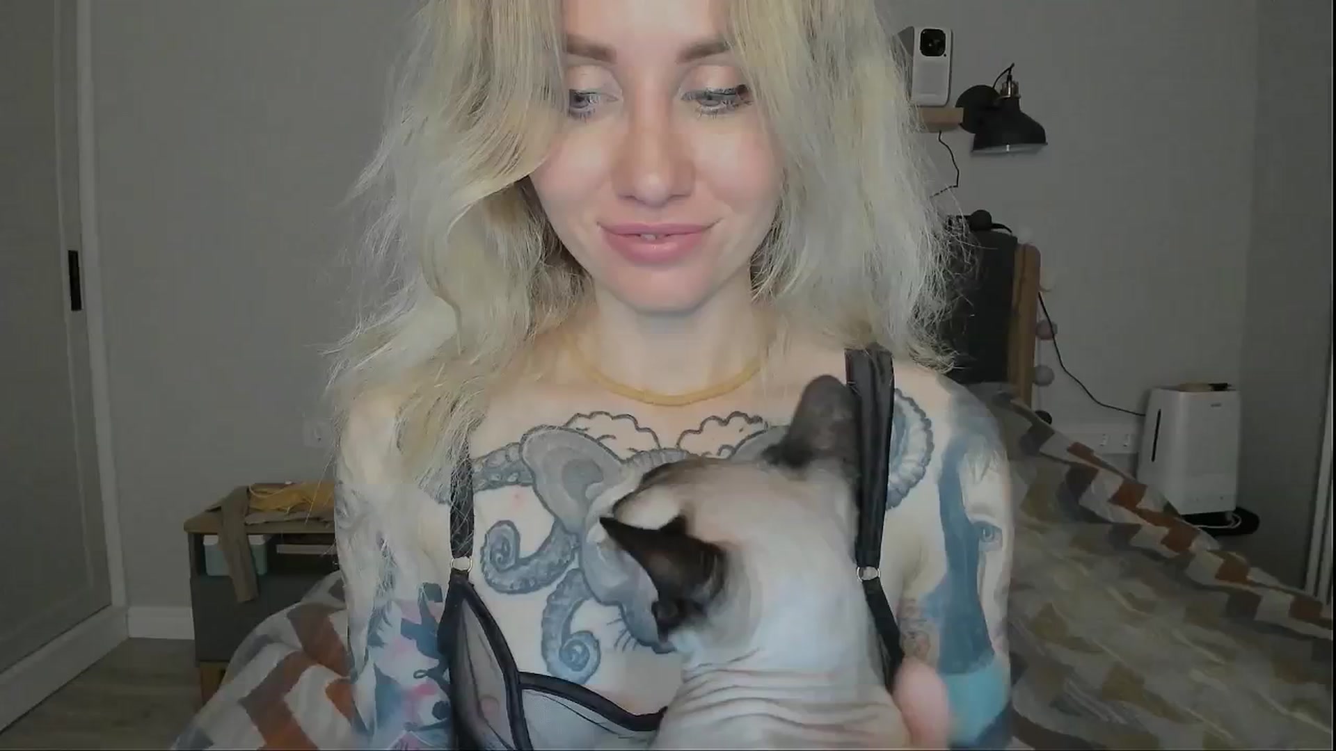 Gallery image thumbnail from Alexa_Smithhh's myfreecams stream on, 07/25/2024, 21:54 image 11 of 20