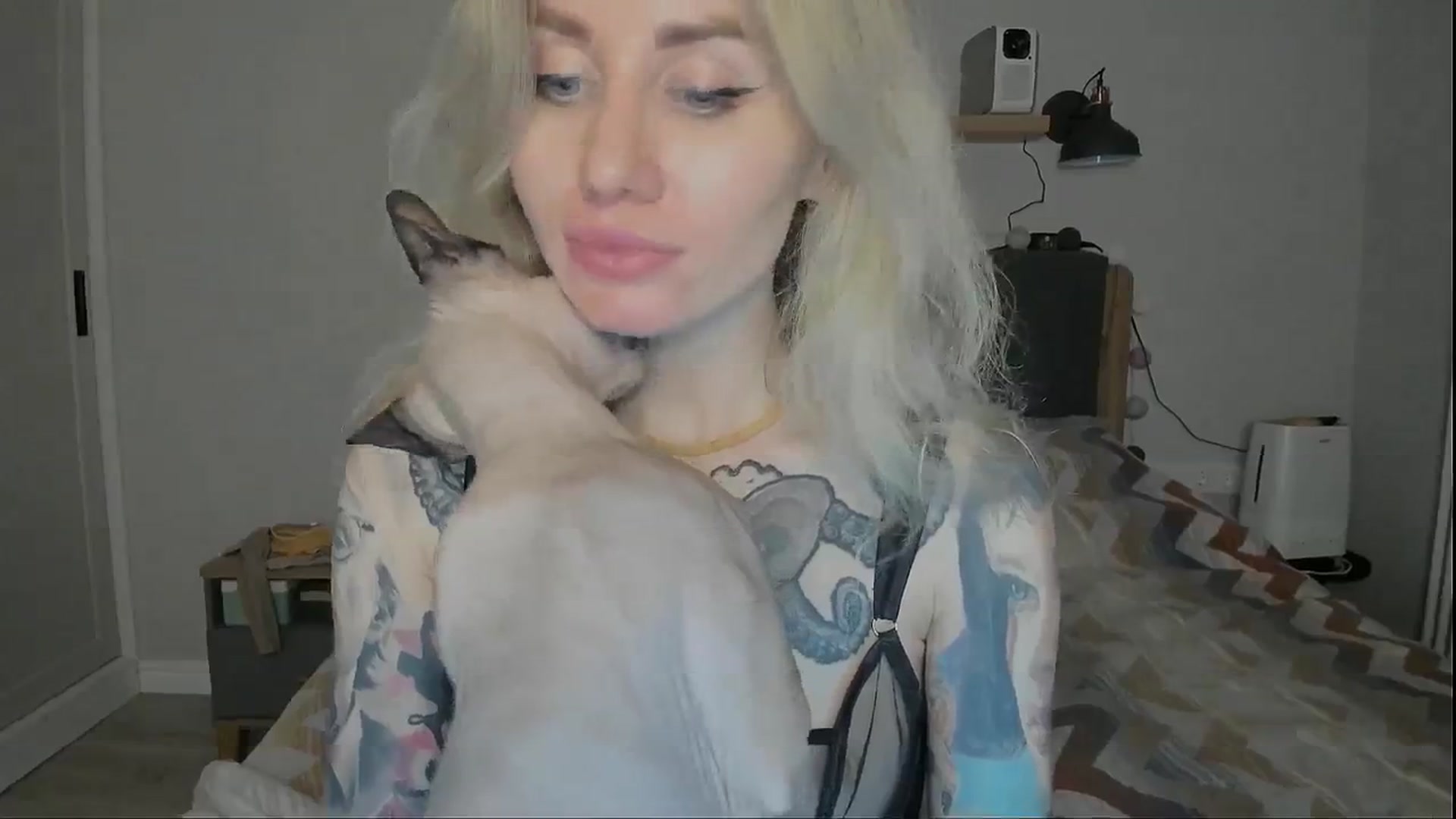 Gallery image thumbnail from Alexa_Smithhh's myfreecams stream on, 07/25/2024, 21:54 image 12 of 20