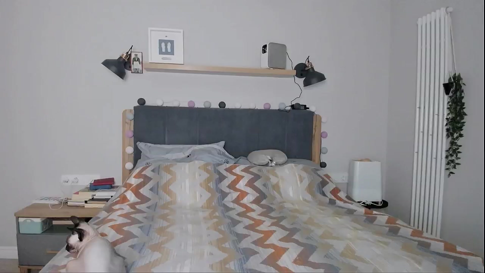 Gallery image thumbnail from Alexa_Smithhh's myfreecams stream on, 08/23/2024, 19:48 image 12 of 20