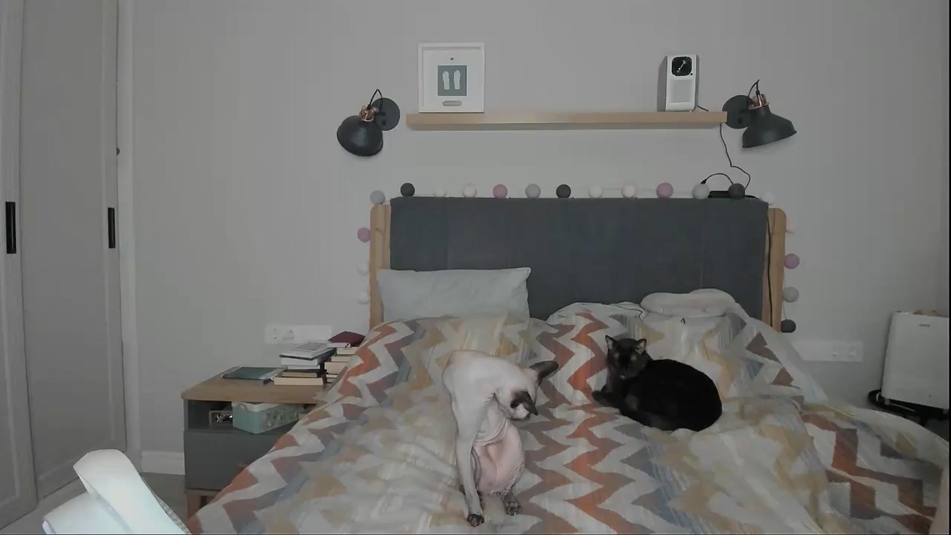 Gallery image thumbnail from Alexa_Smithhh's myfreecams stream on, 10/08/2024, 19:41 image 20 of 20